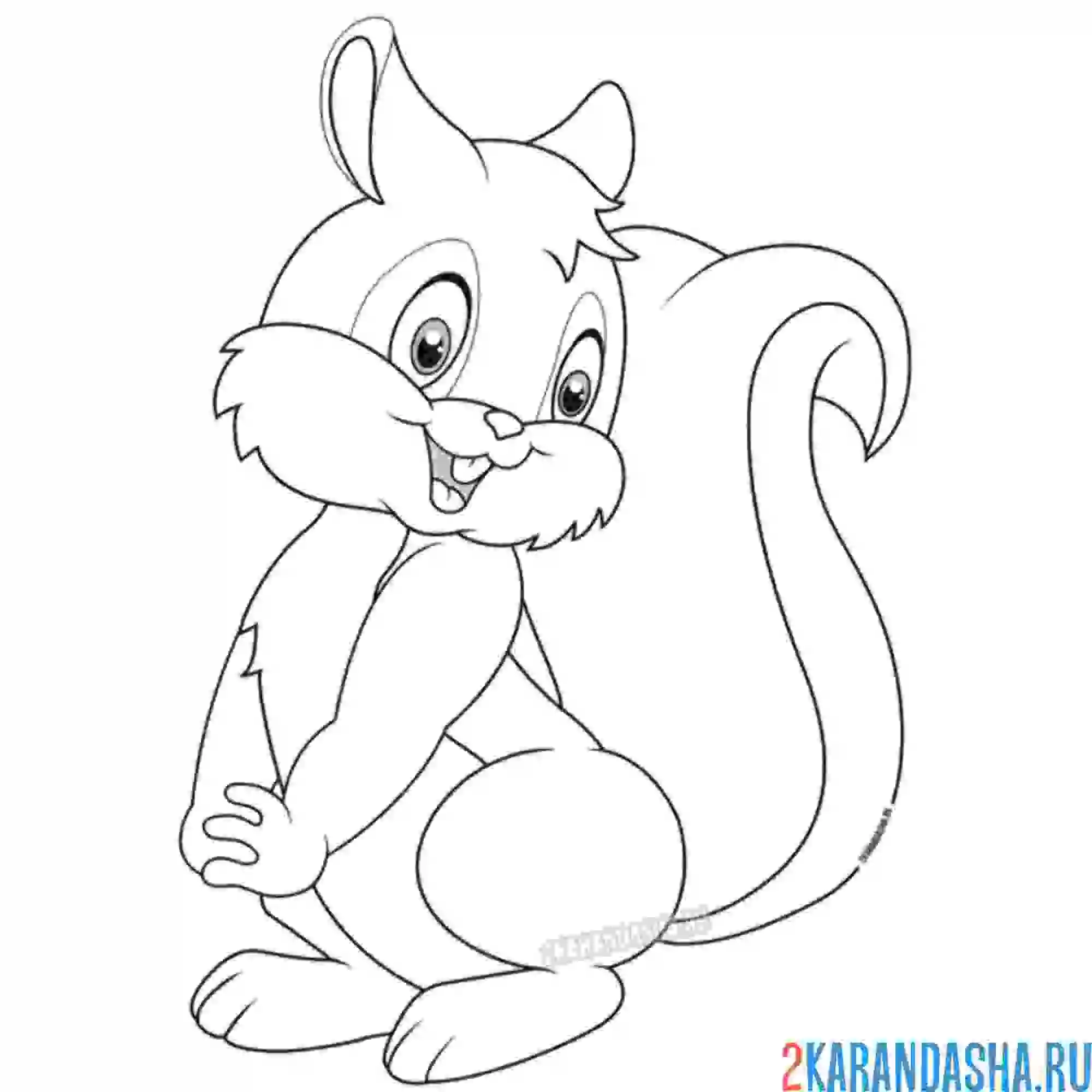 Раскраска милый пушистик белочка