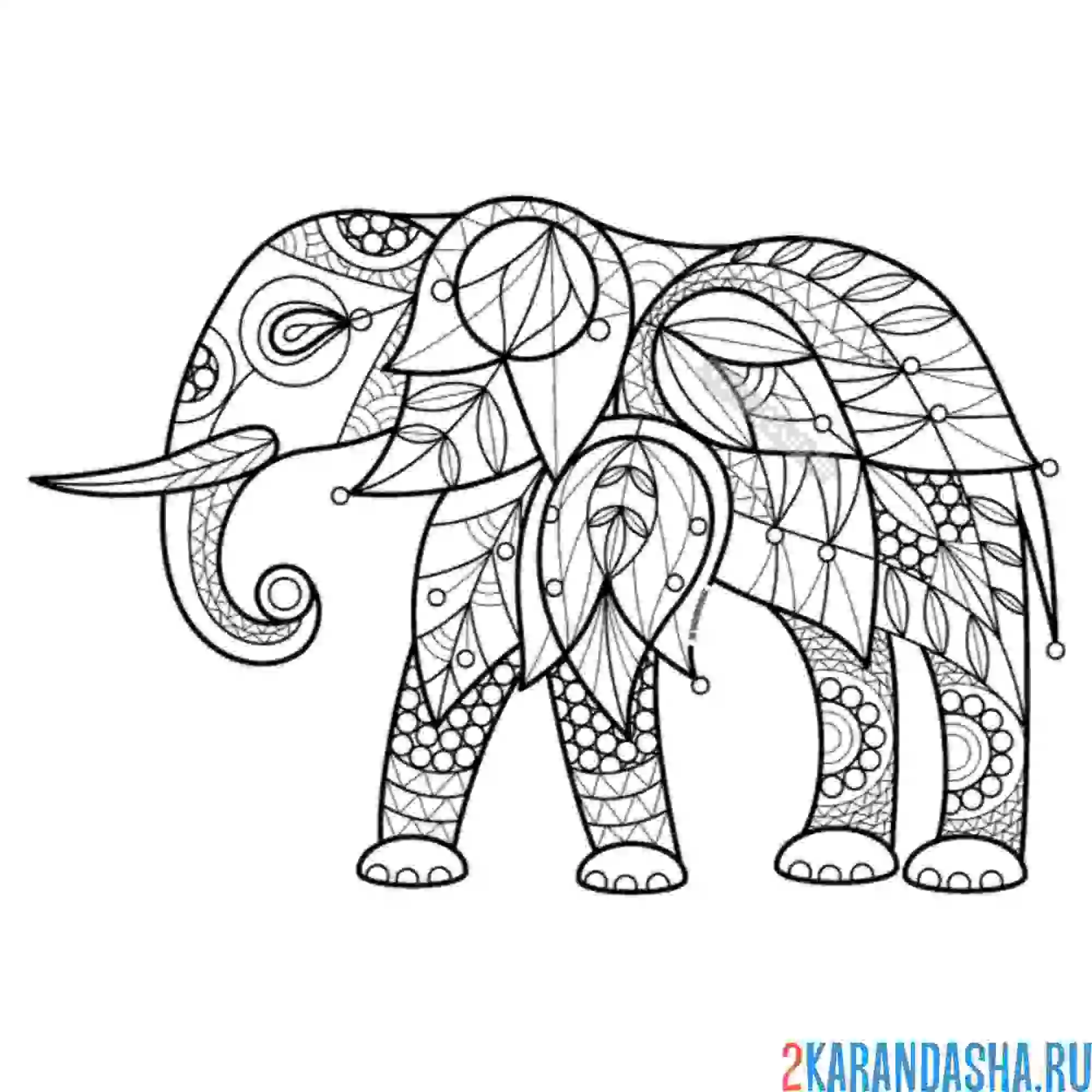 Раскраска слон