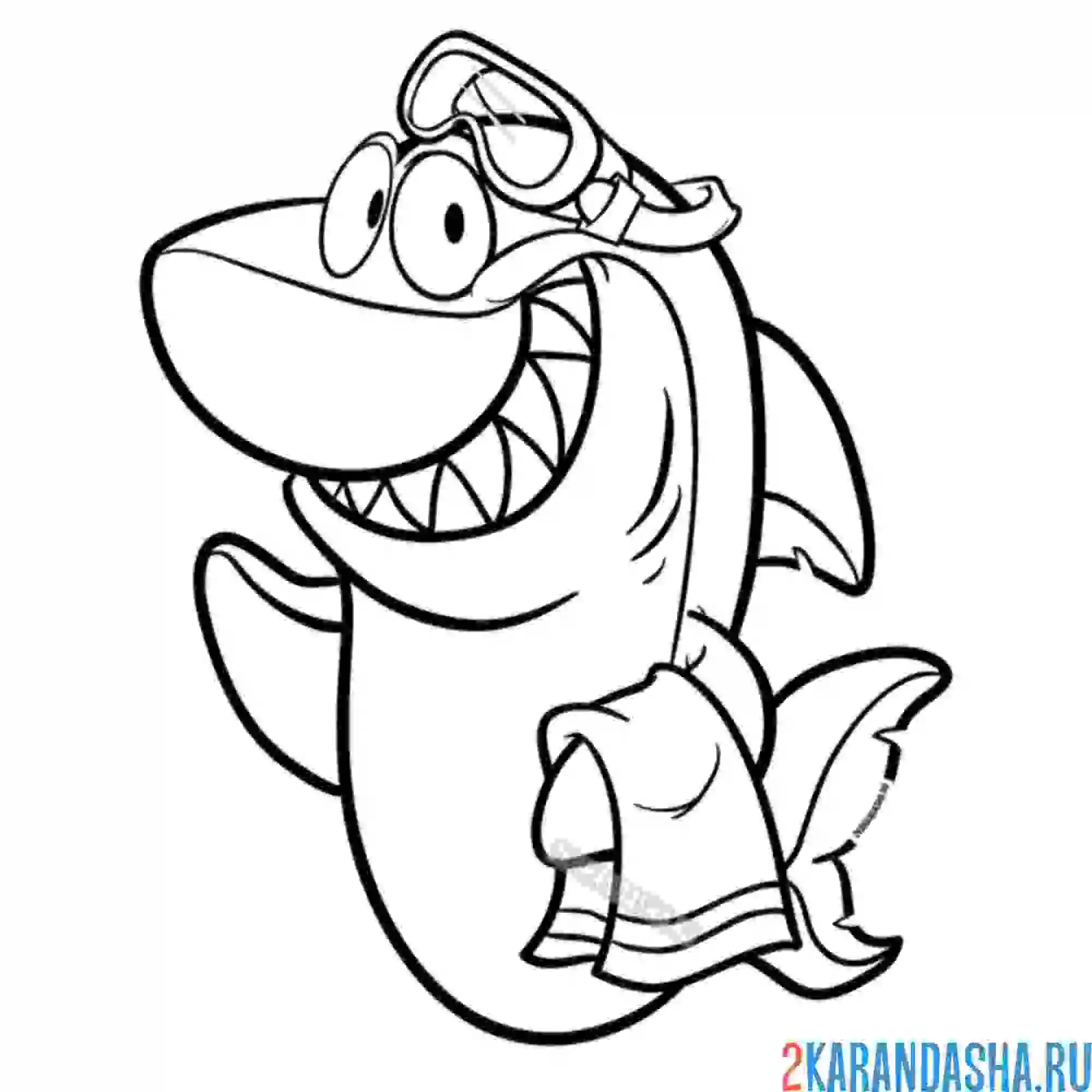 Раскраска шелковая акула