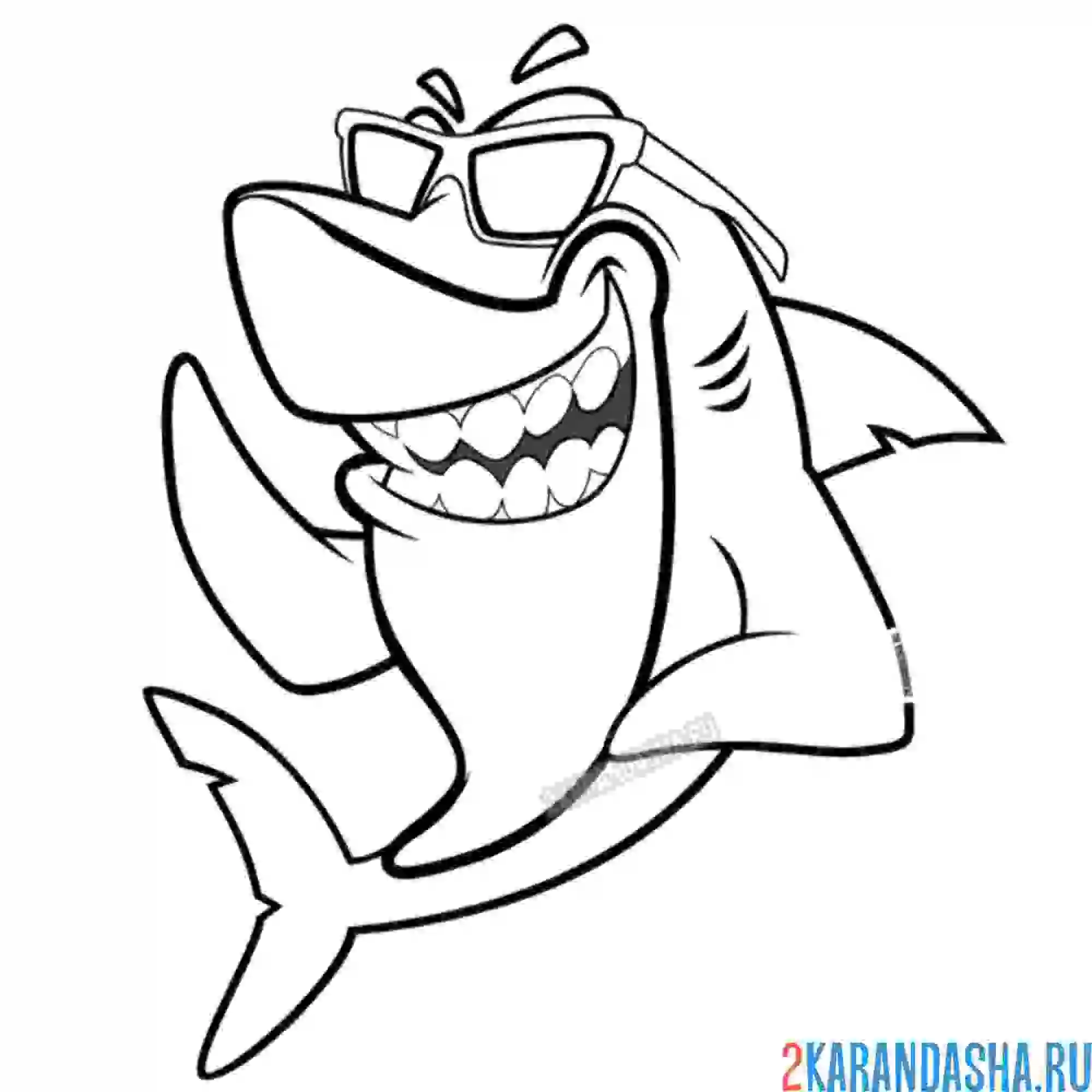 Раскраска акула в солнечных очках