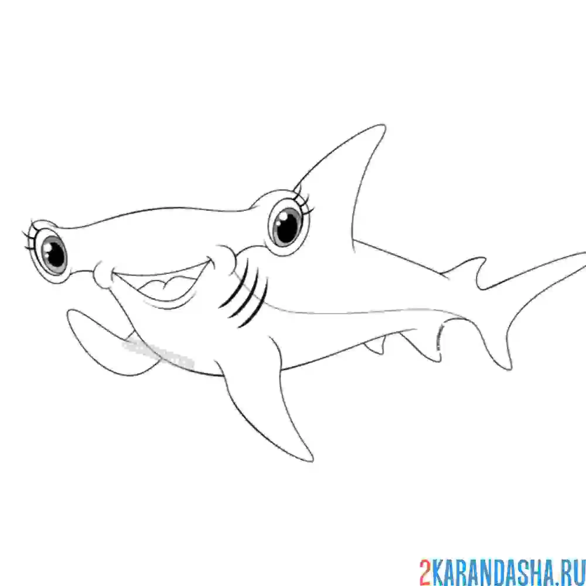 Раскраска акула-молот