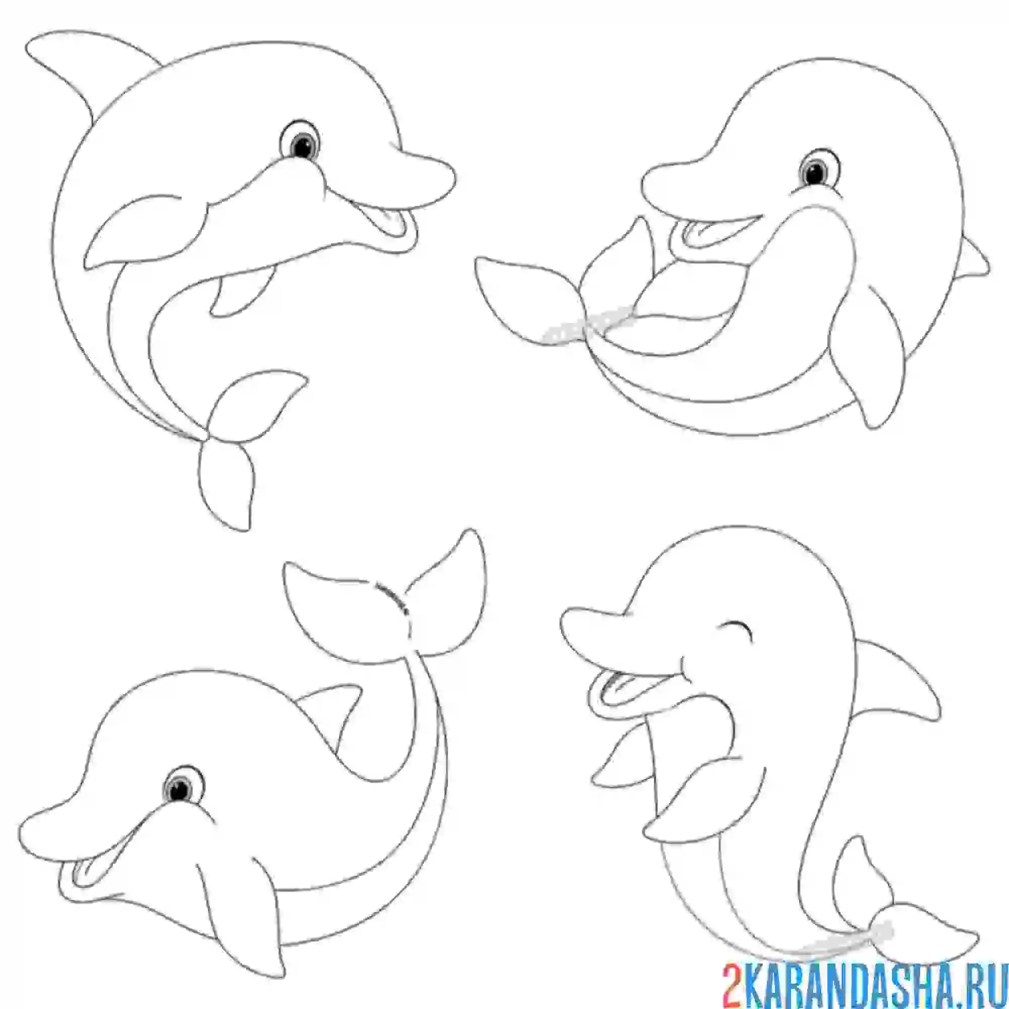 Раскраска 4 друга дельфина