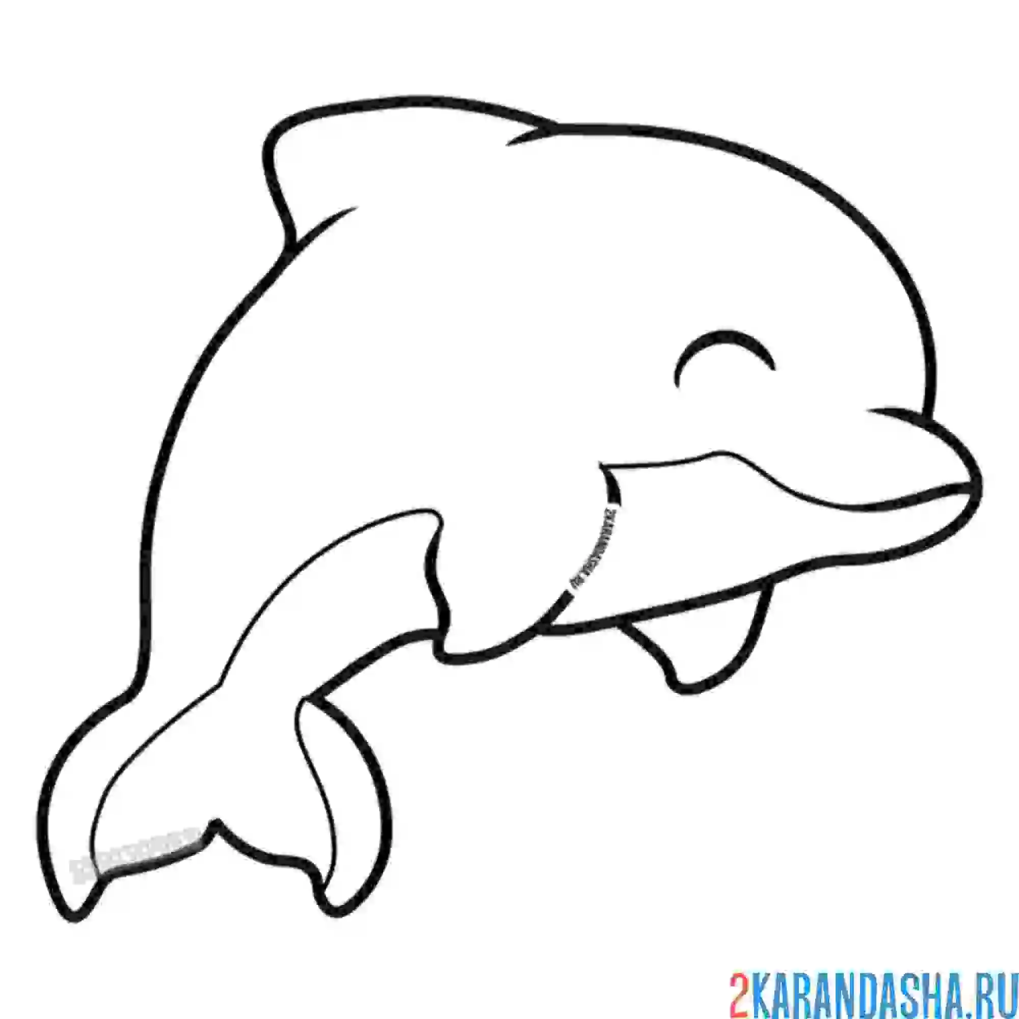 Раскраска красавец дельфин