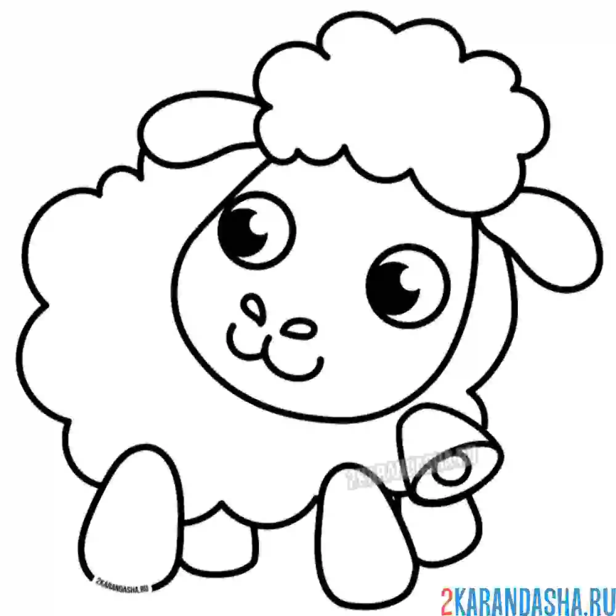 Раскраска милый барашек