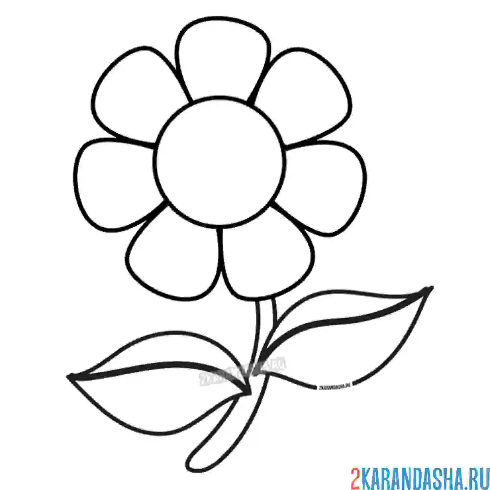 Раскраска цветочек