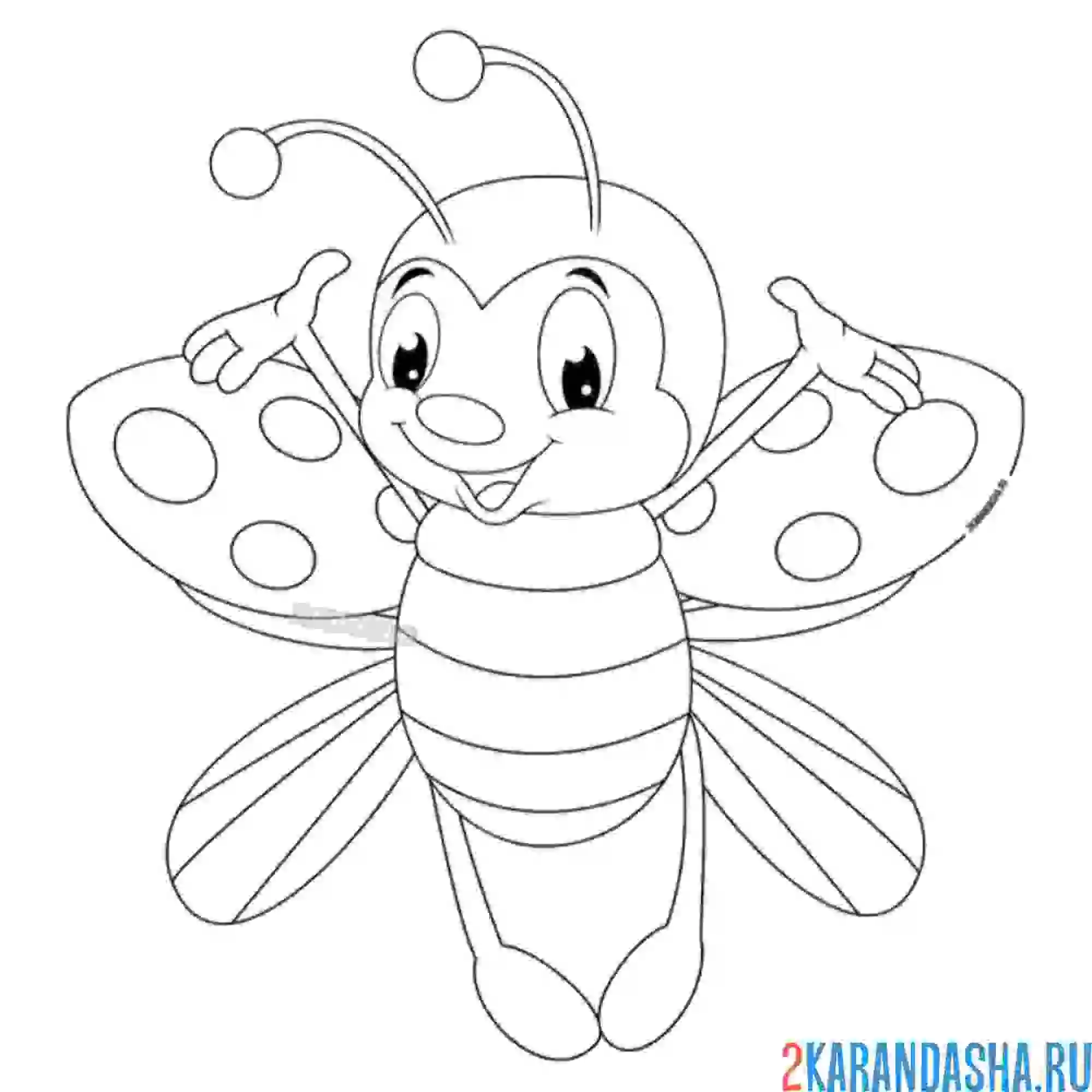 Раскраска распустила крылья божья коровка