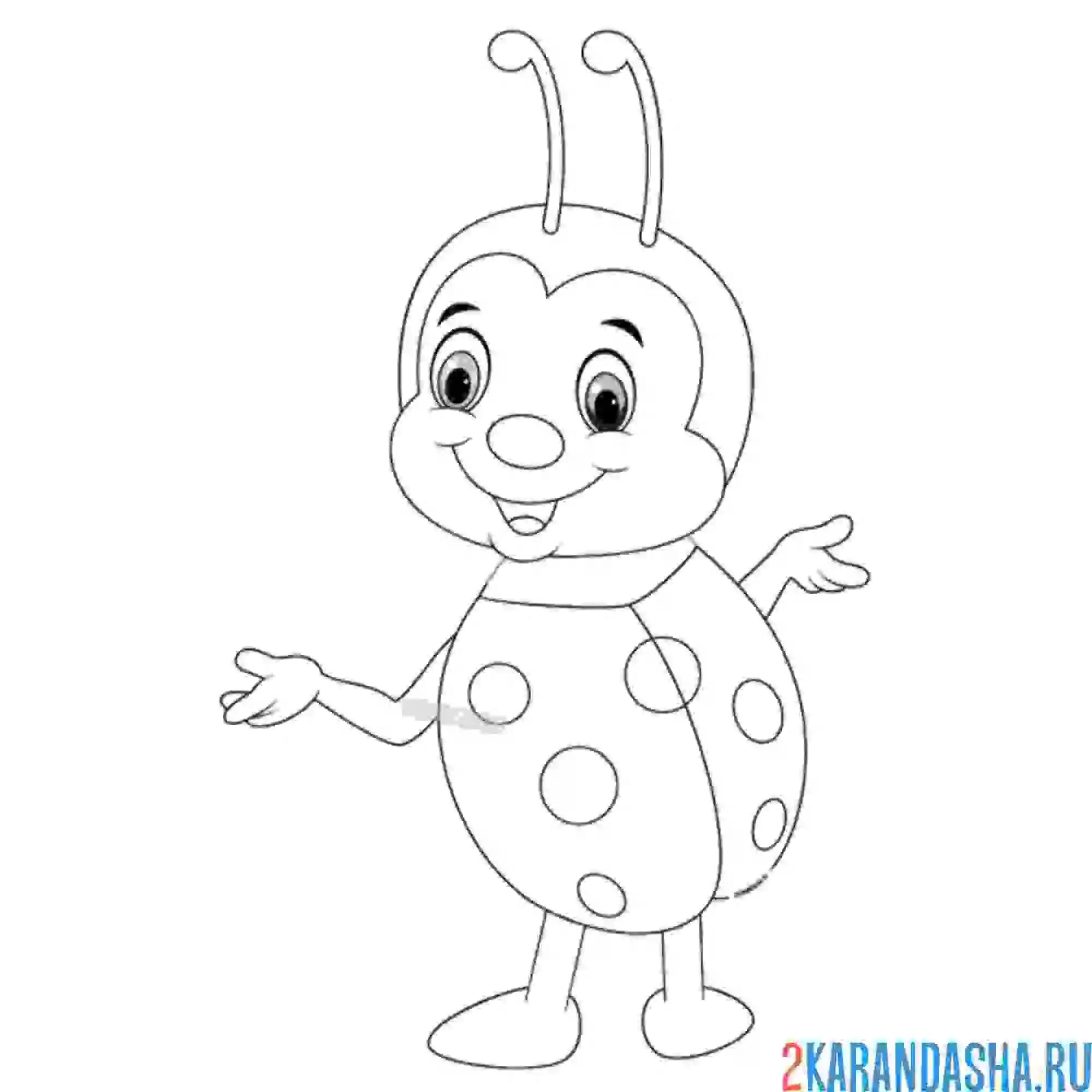 Раскраска с красивой спинкой божья коровка