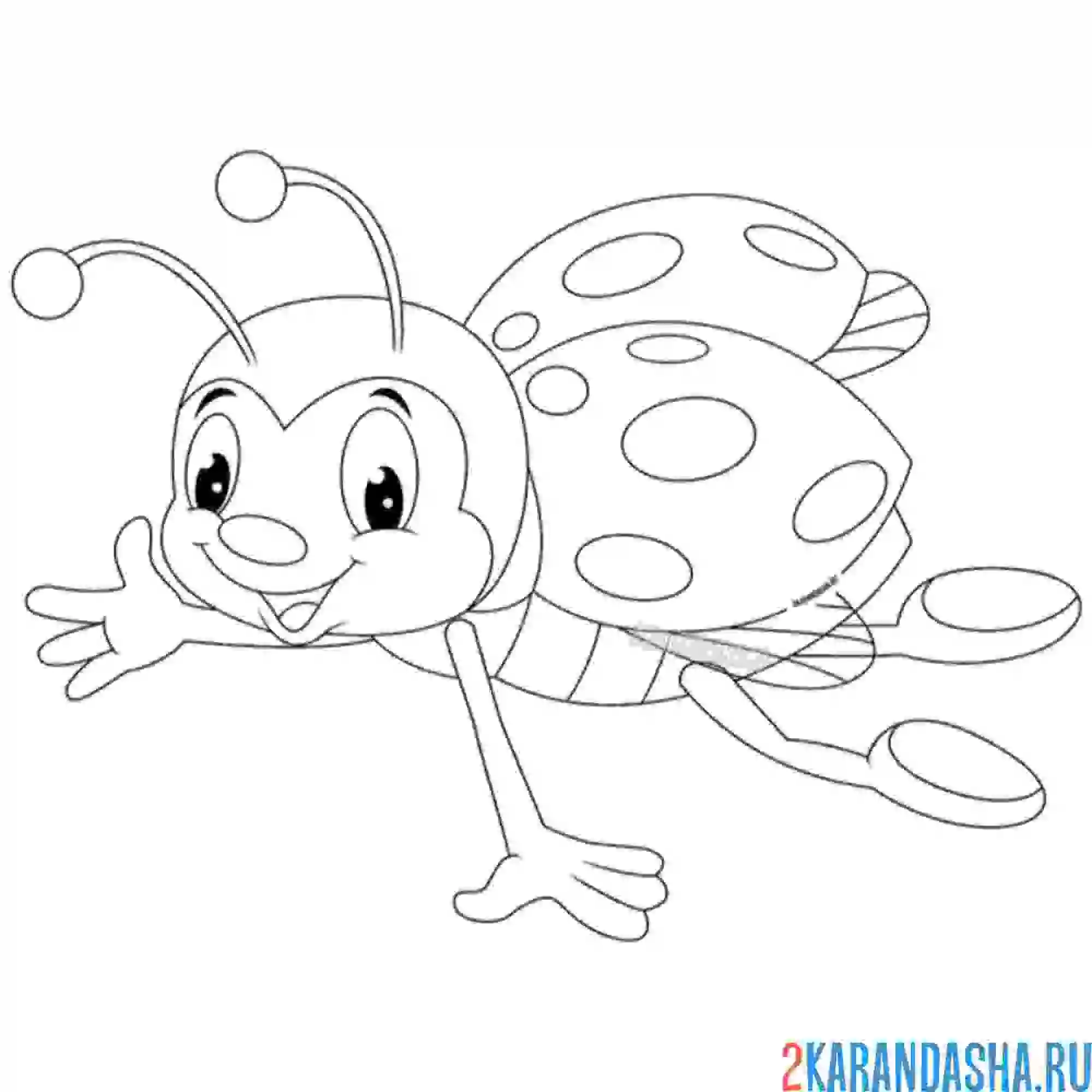 Раскраска летающее насекомое божья коровка