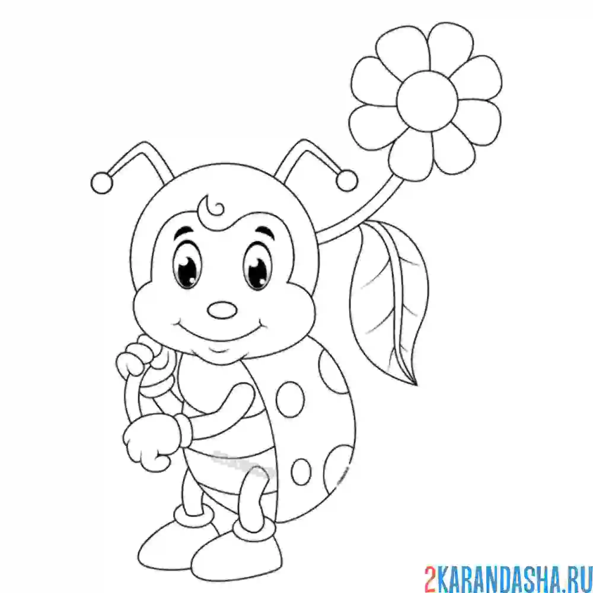 Раскраска с ромашкой в лапках божья коровка