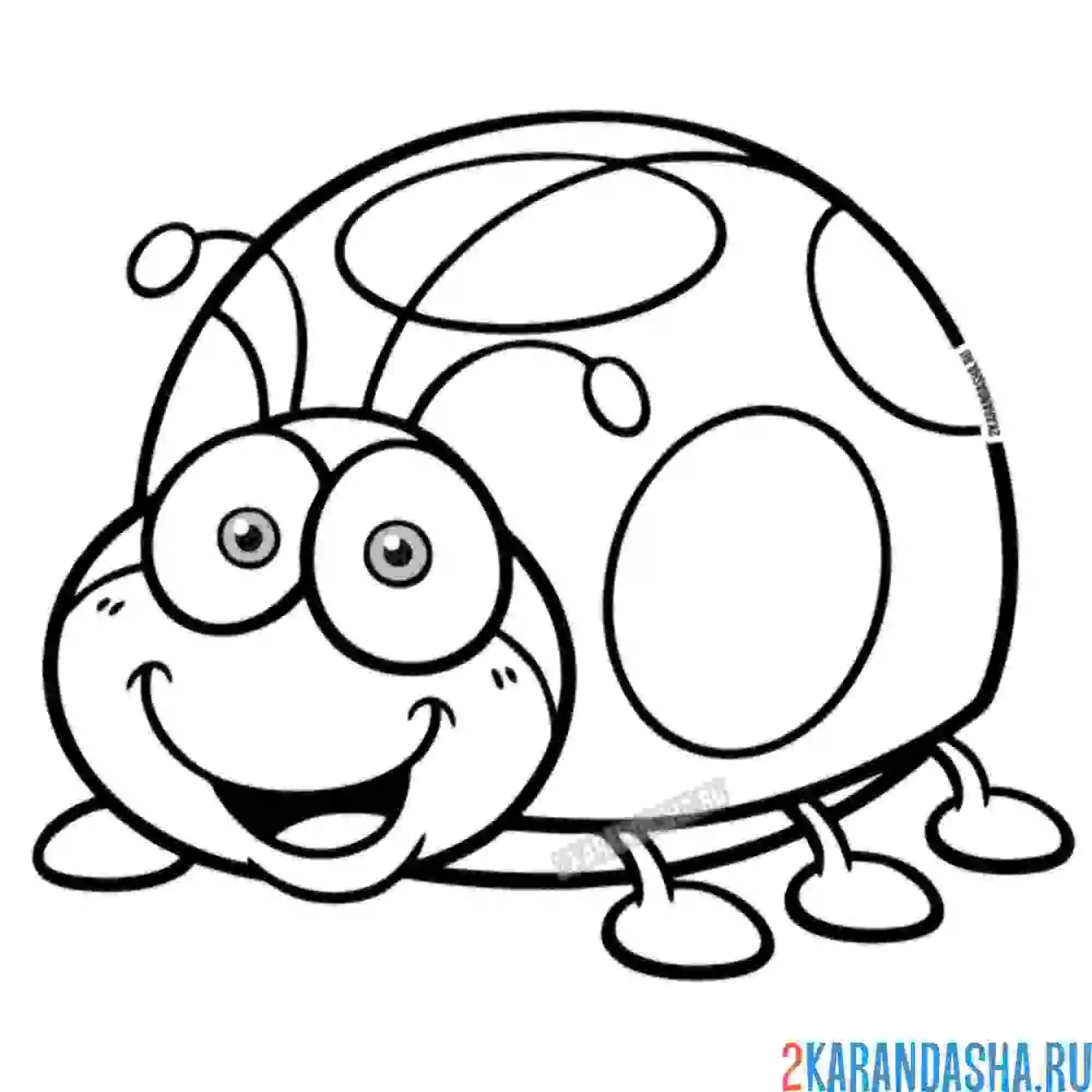 Раскраска забавная букашка божья коровка