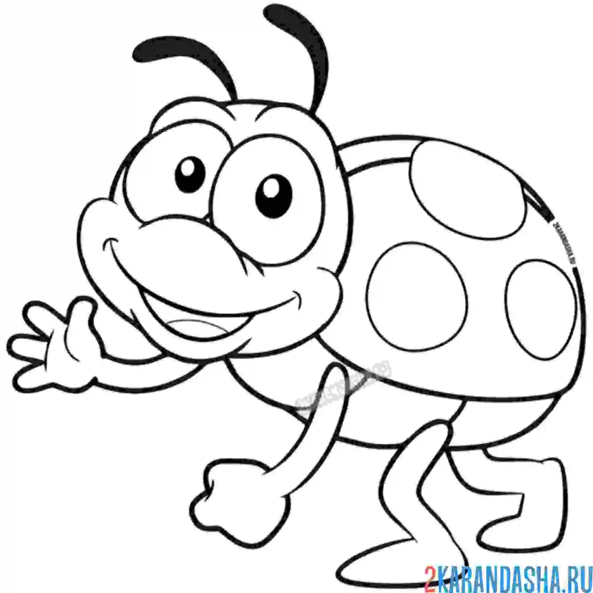 Раскраска прекрасное насекомое божья коровка