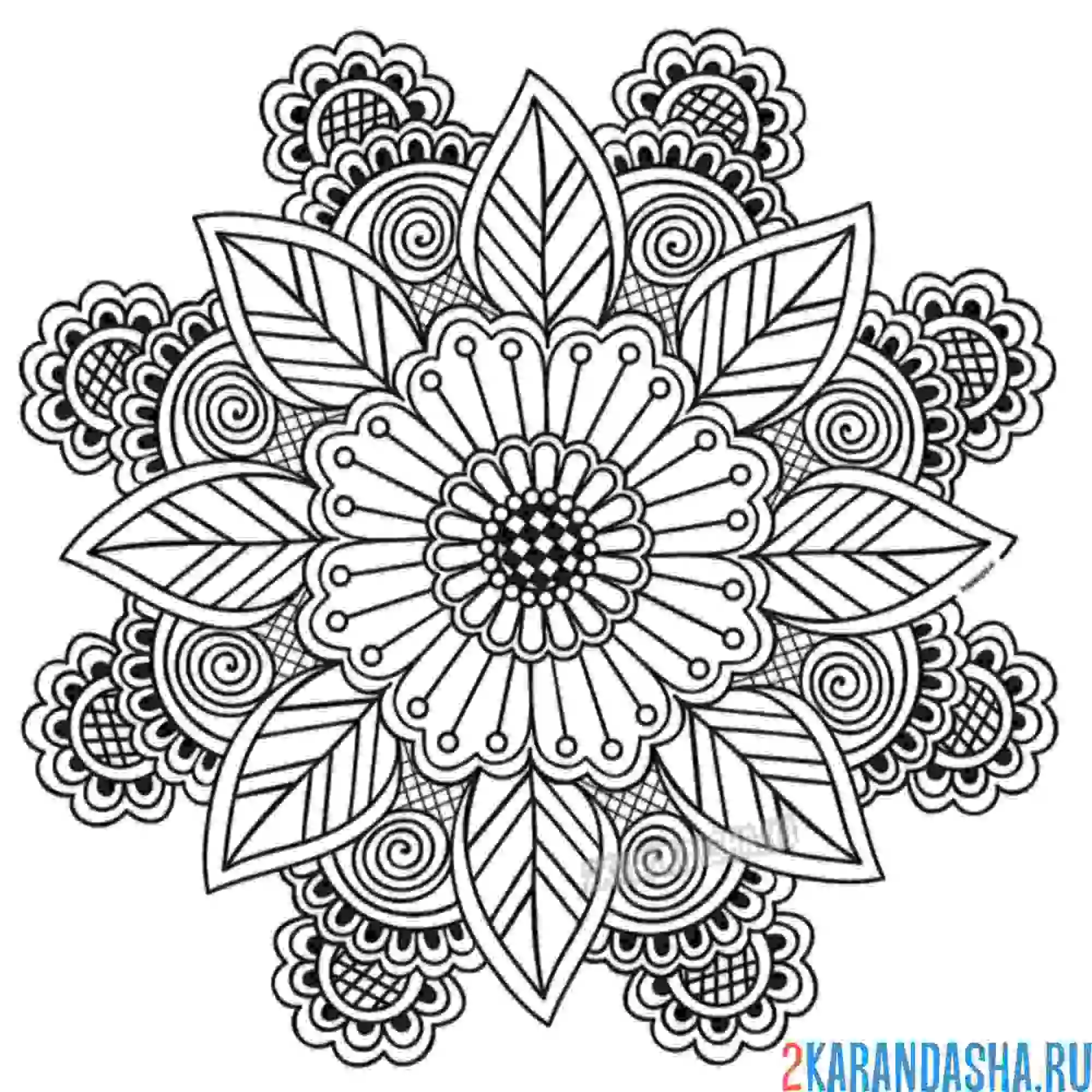 Раскраска мандала с узорами цветочек