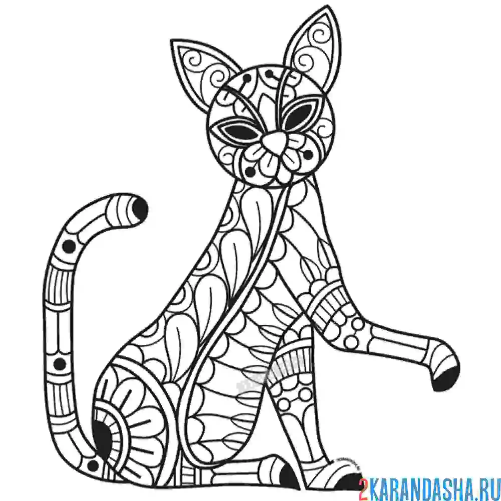 Раскраска котик сидит