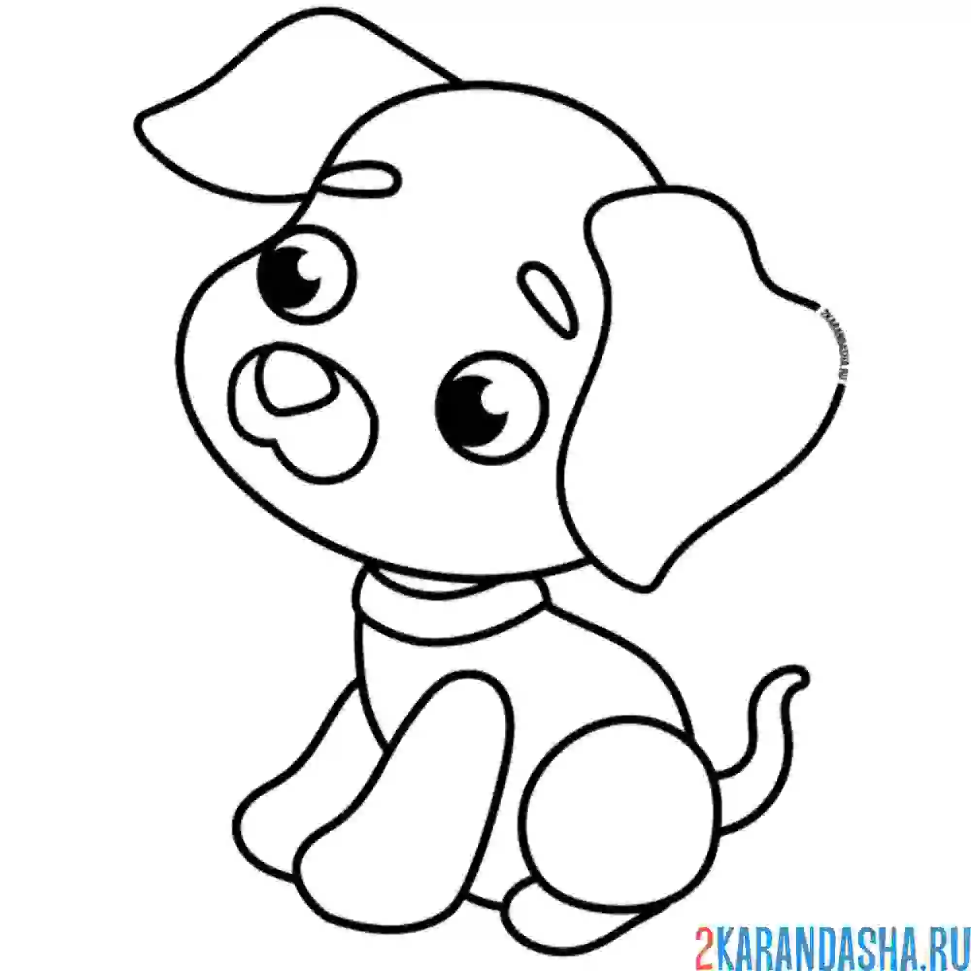 Раскраска милашка собачка