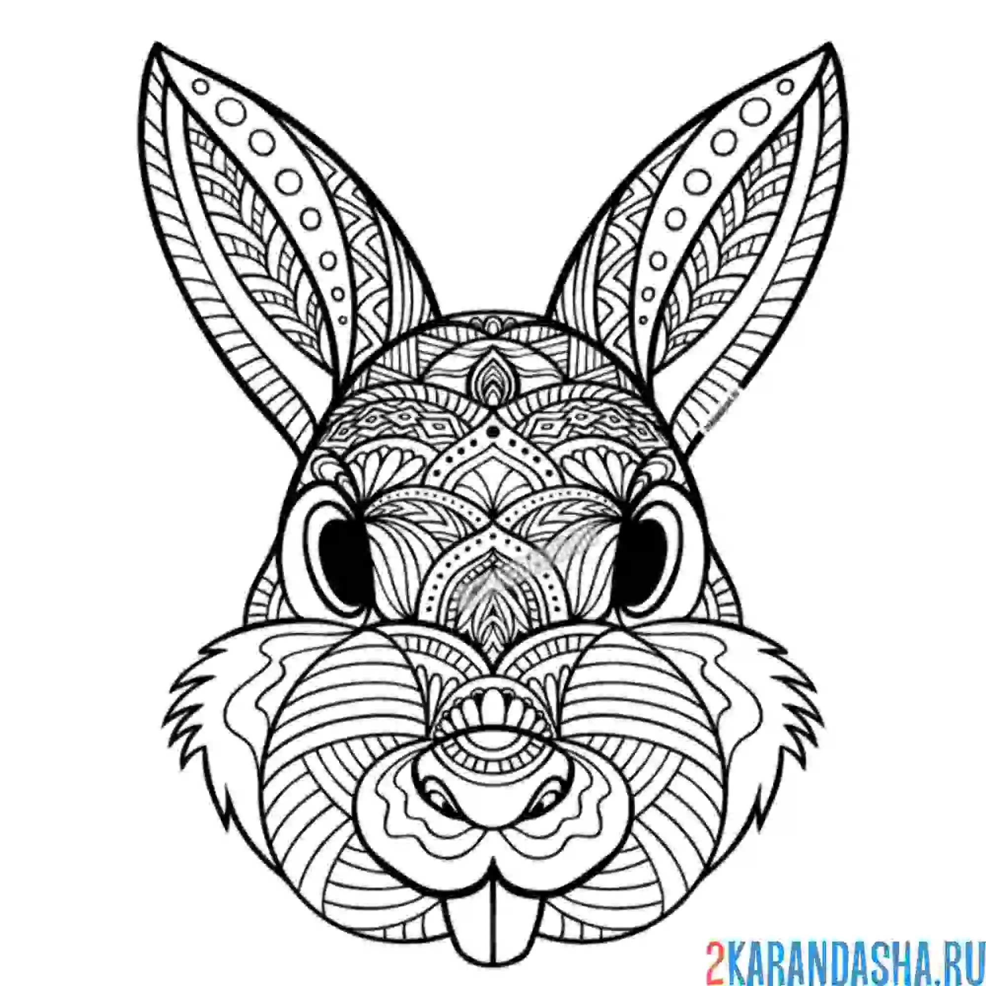 Раскраска мордочка зайки