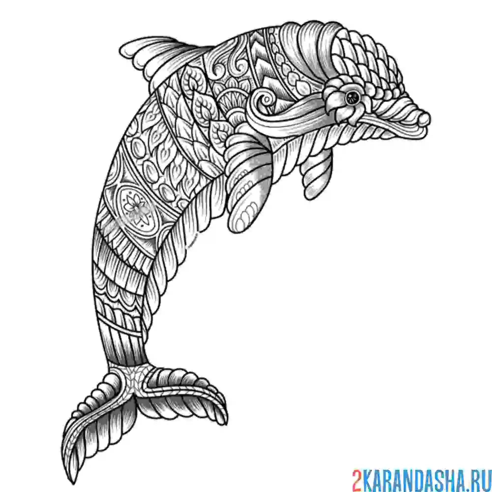 Раскраска дельфин