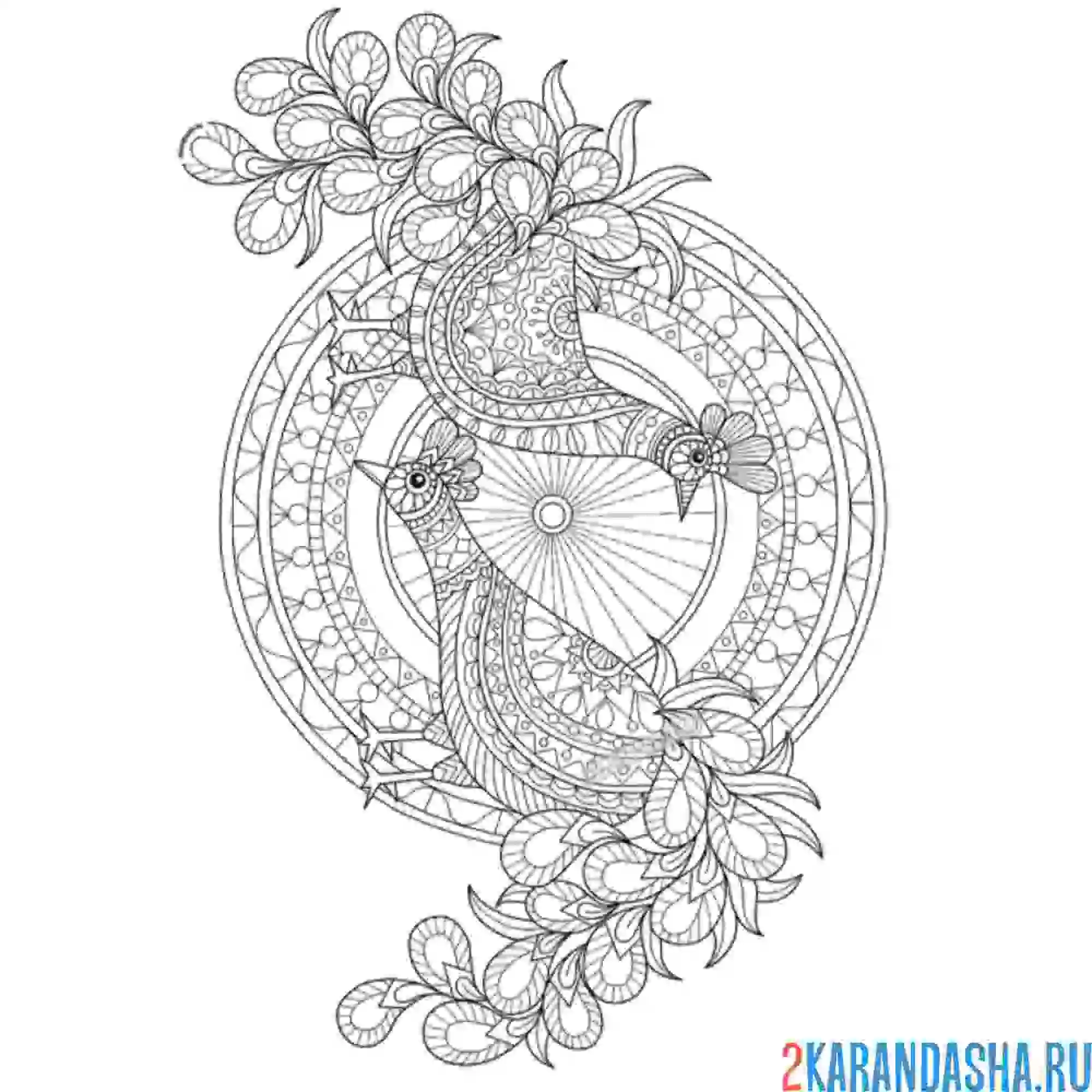 Раскраска павлины