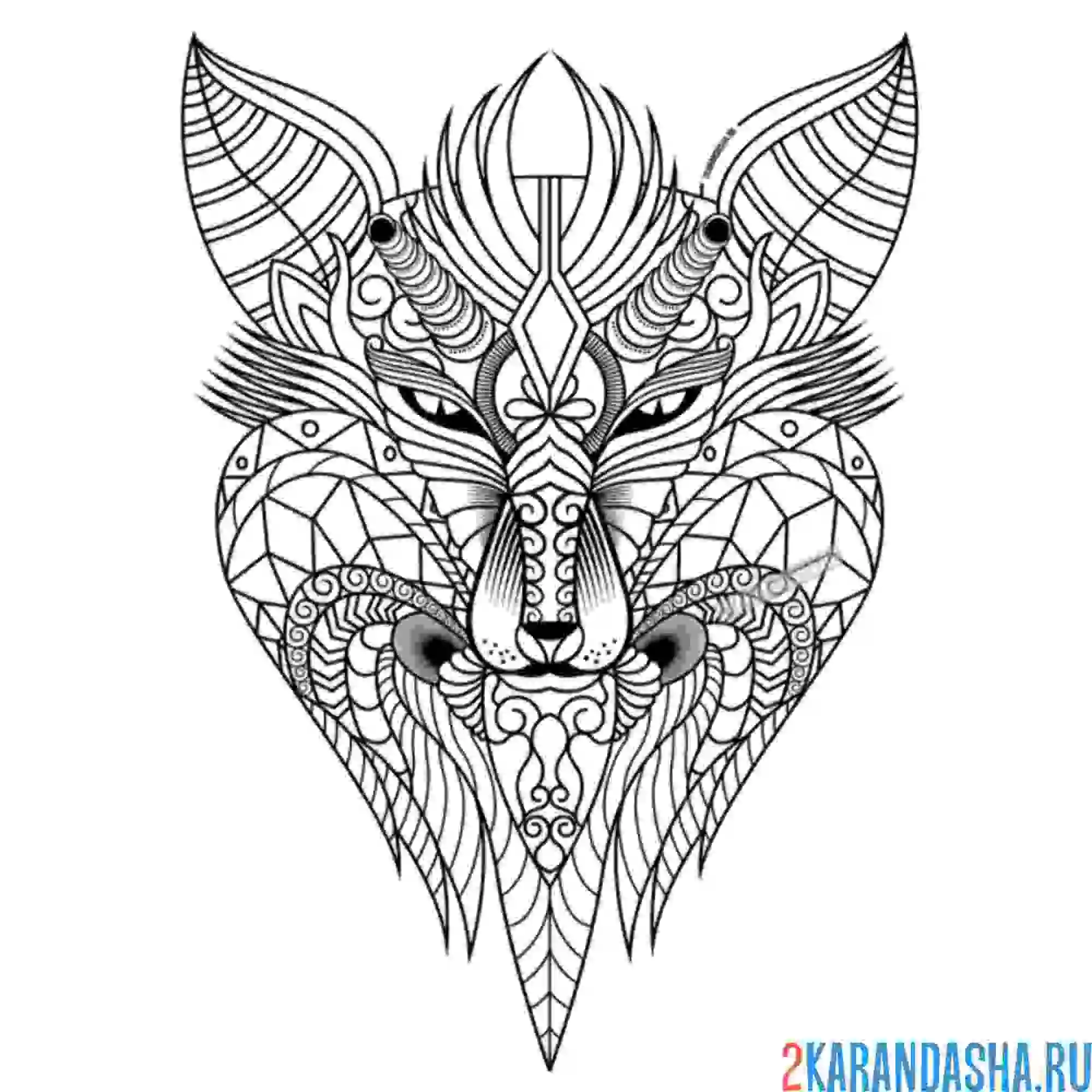 Раскраска дикий волк