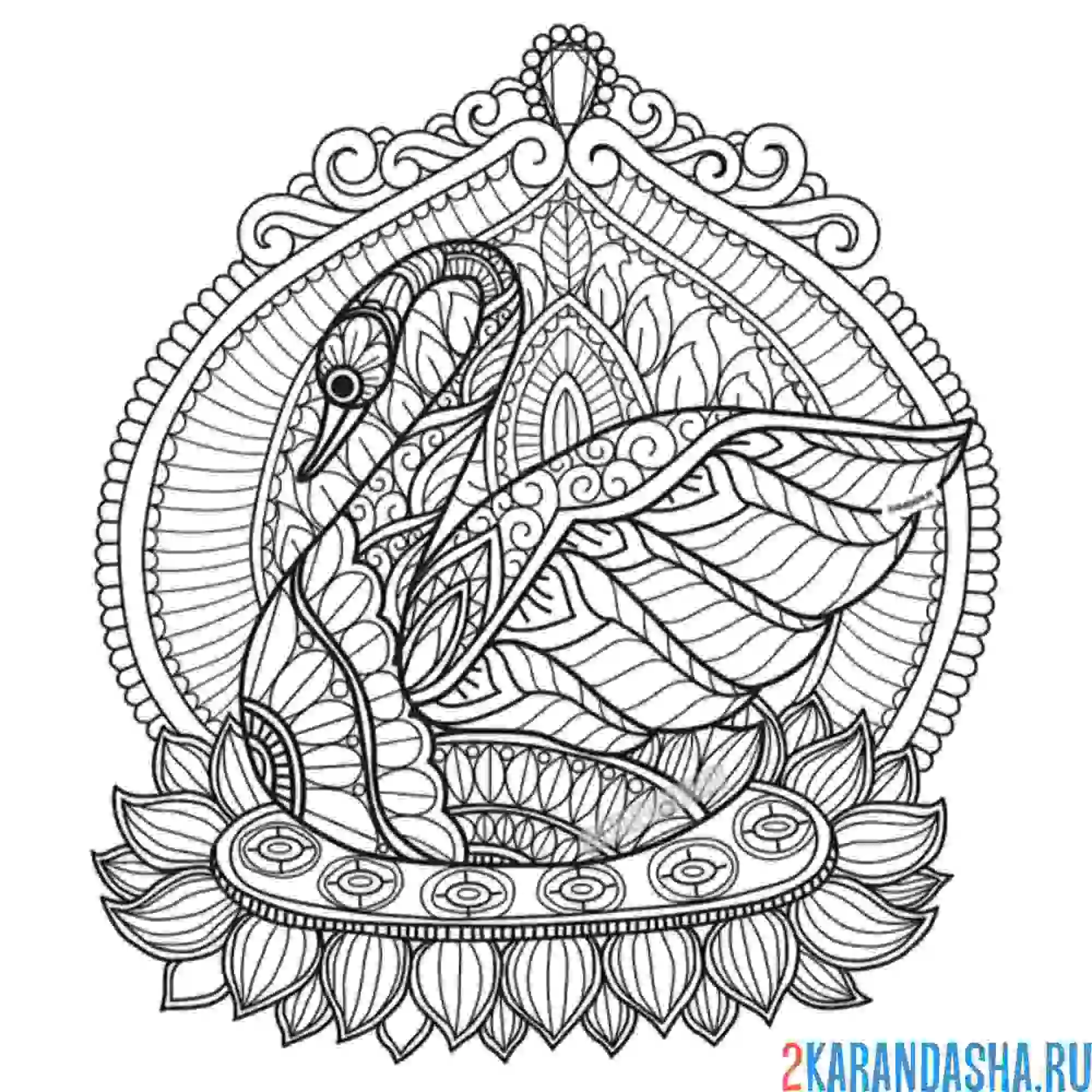 Раскраска лебедь