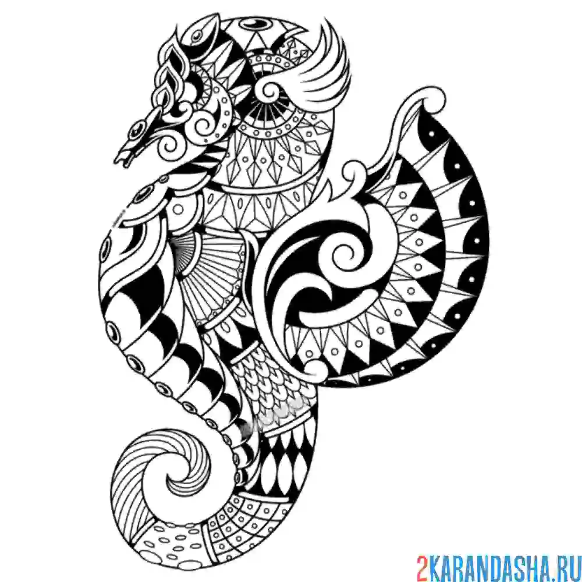 Раскраска суровый морской конек