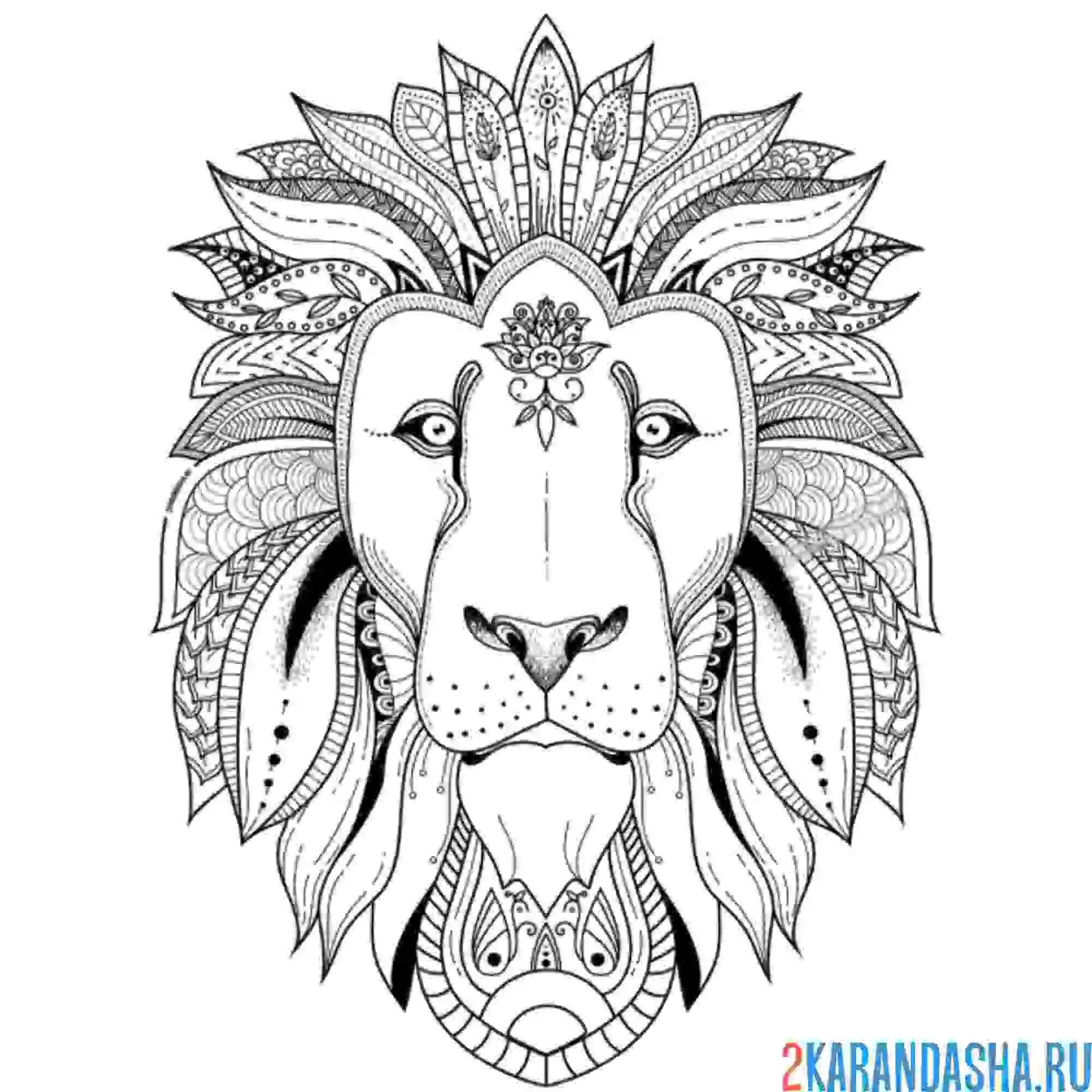 Раскраска голова дикого льва