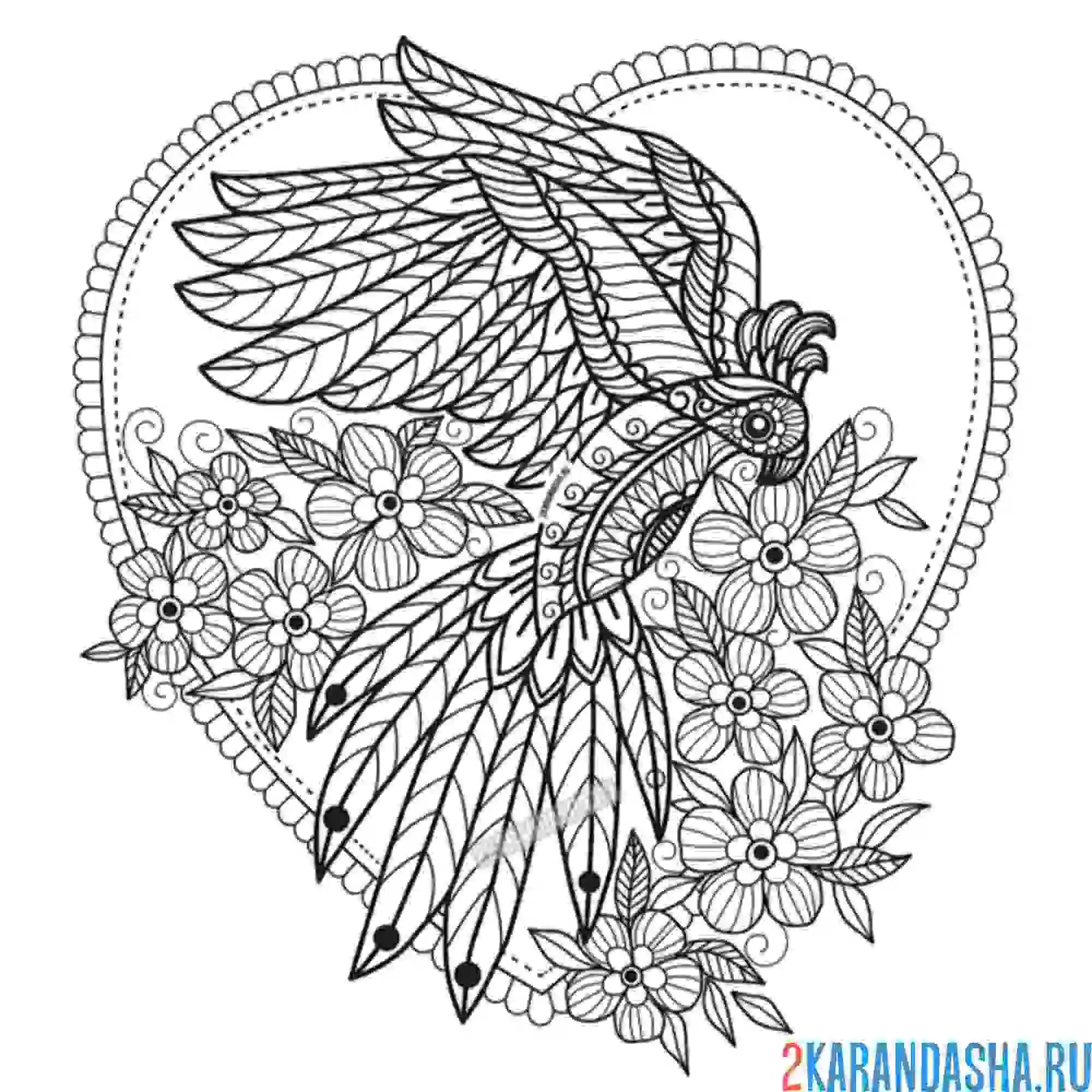 Раскраска попугай в цветах