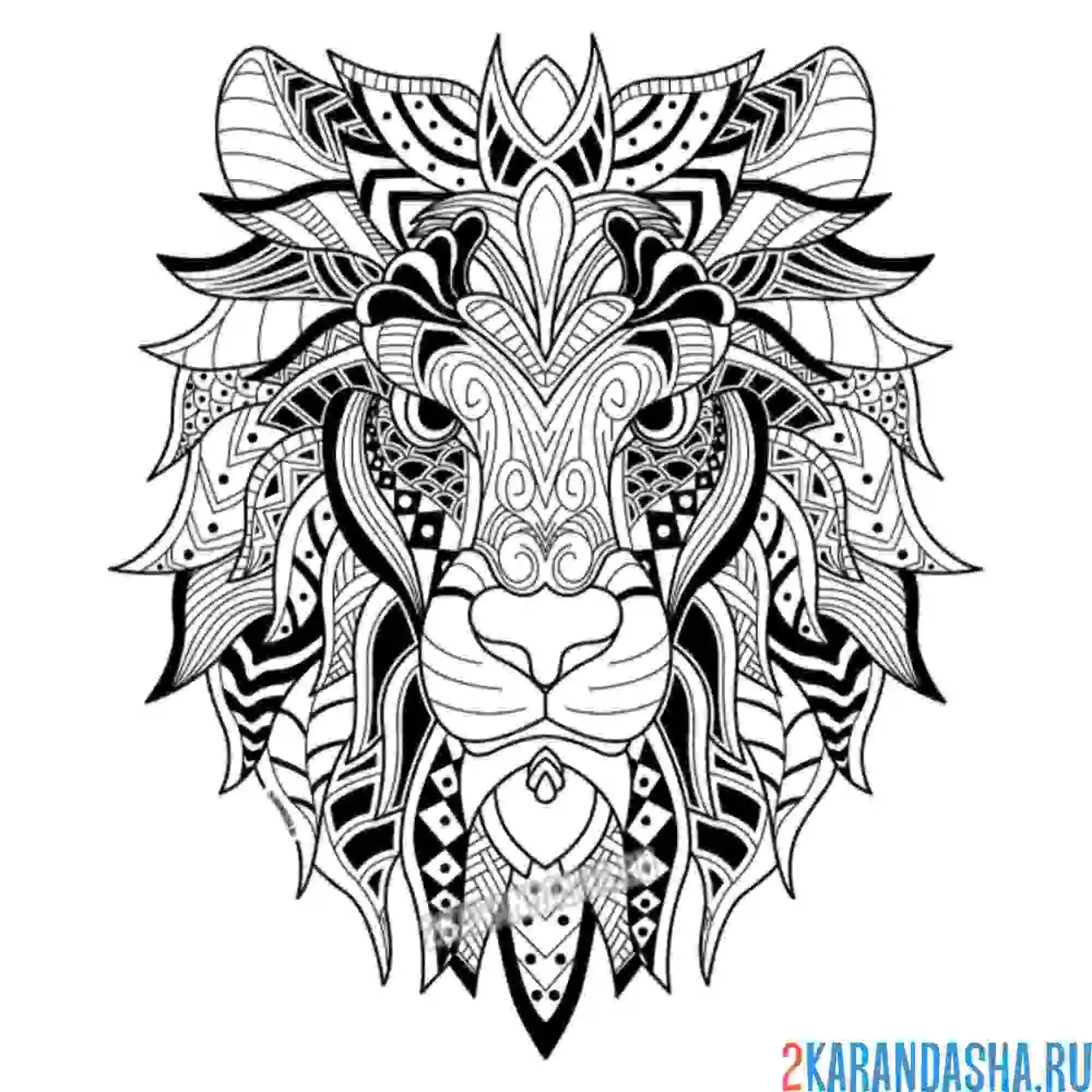 Раскраска сильный лев