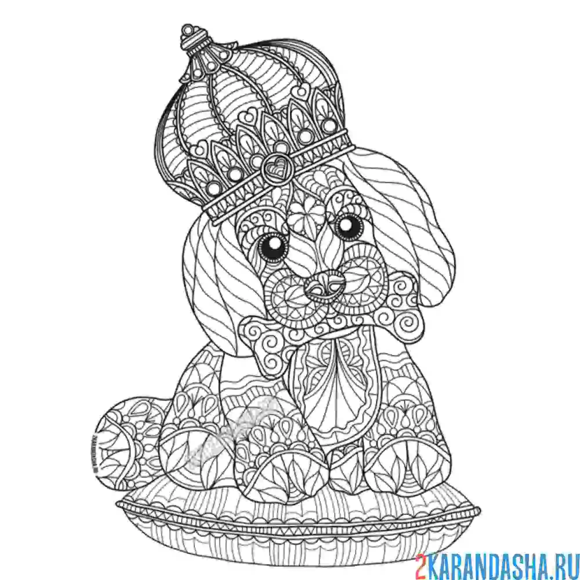 Раскраска собачка с короной