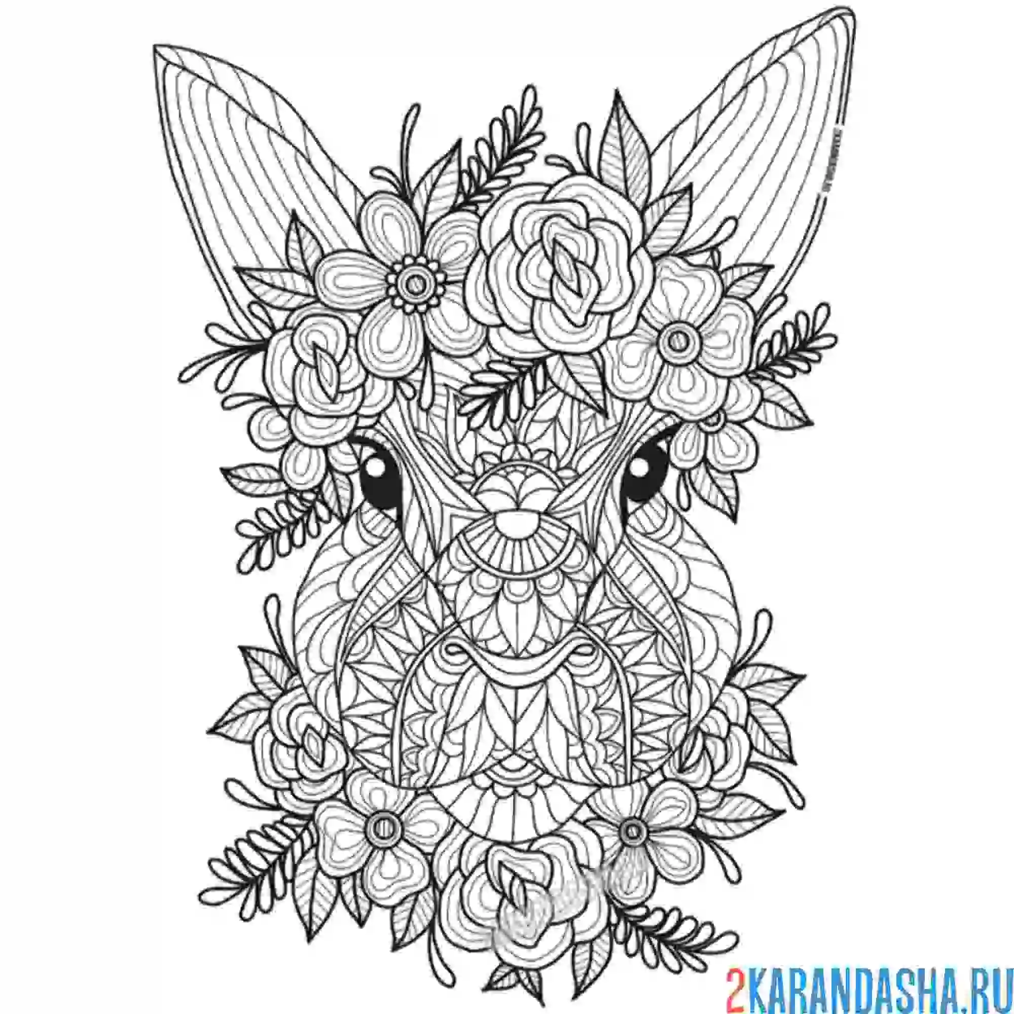 Раскраска очень милый кролик или заяц