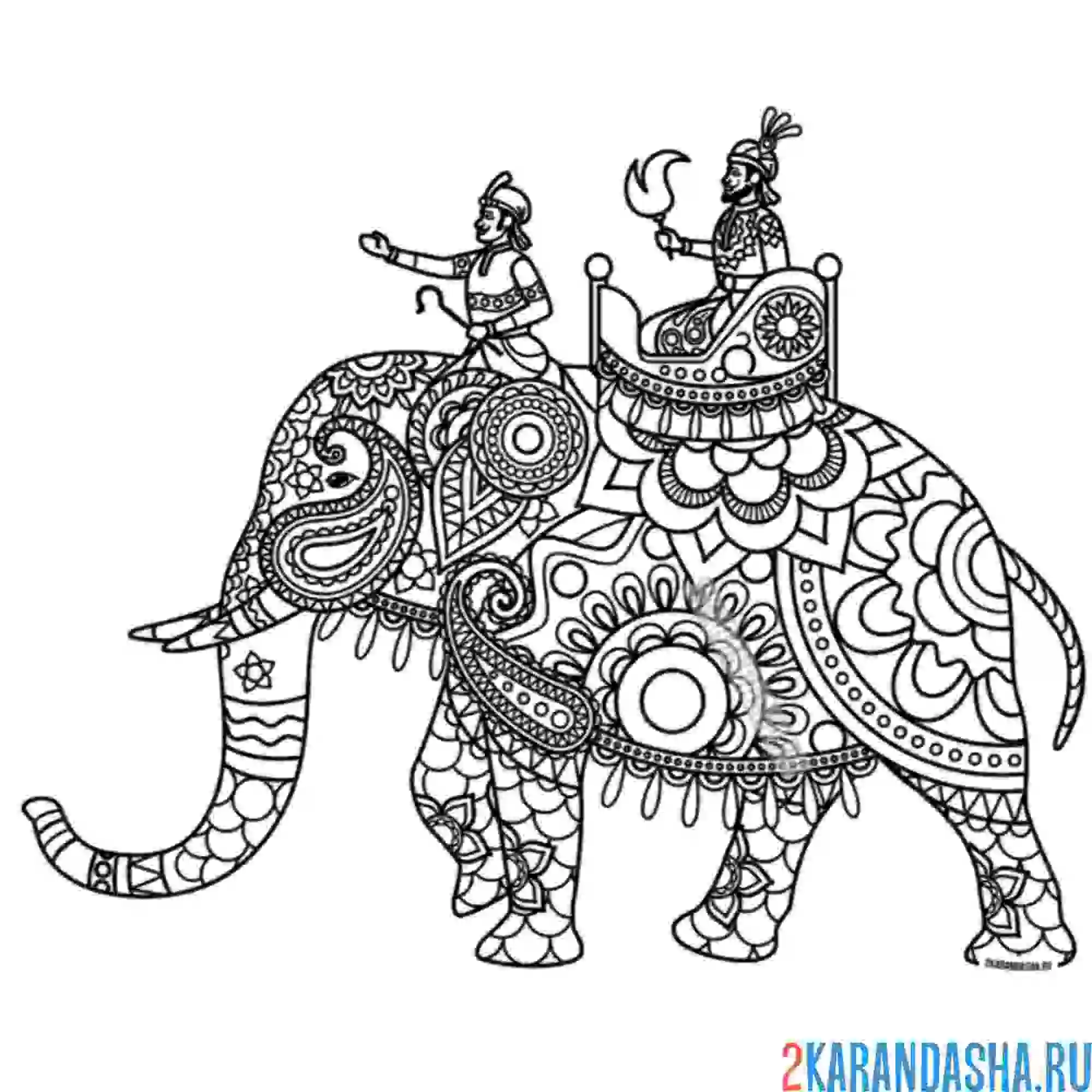 Раскраска индийский слон