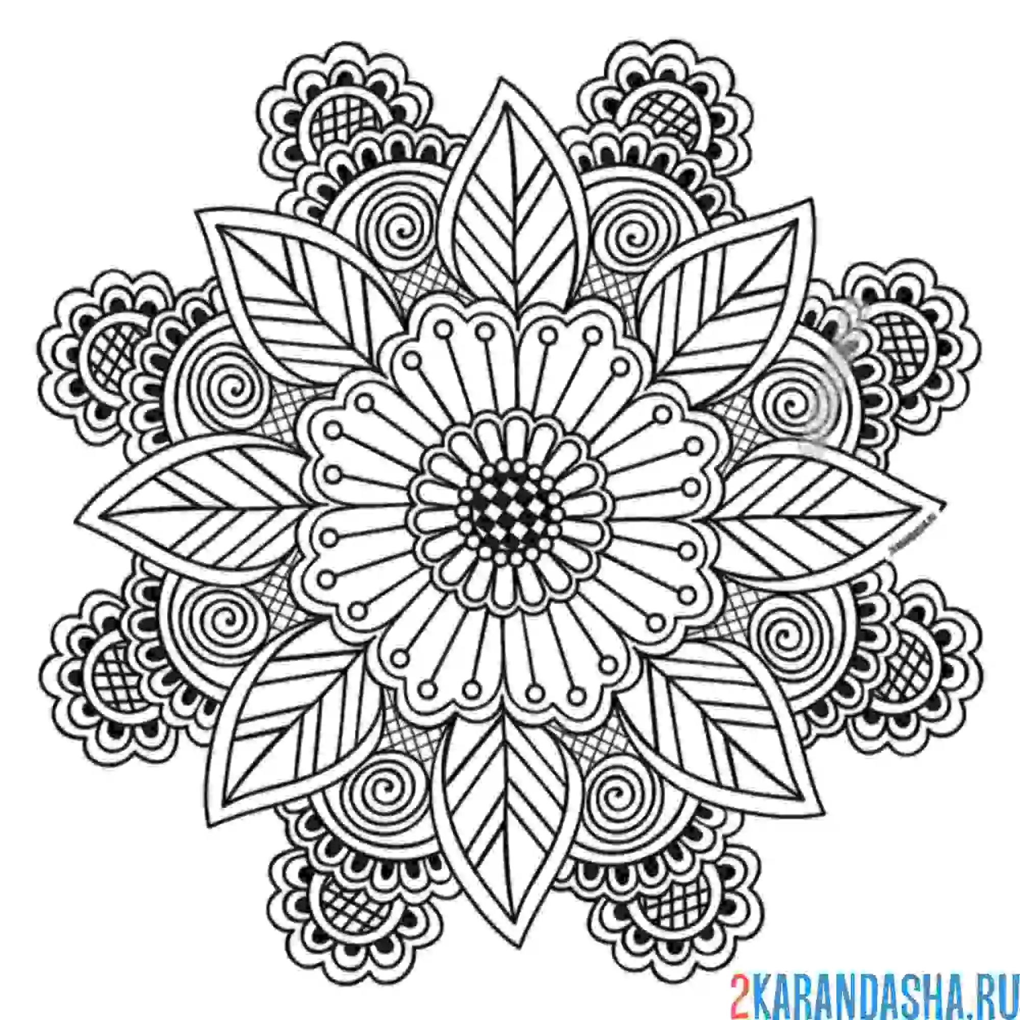 Раскраска мандала фортуны