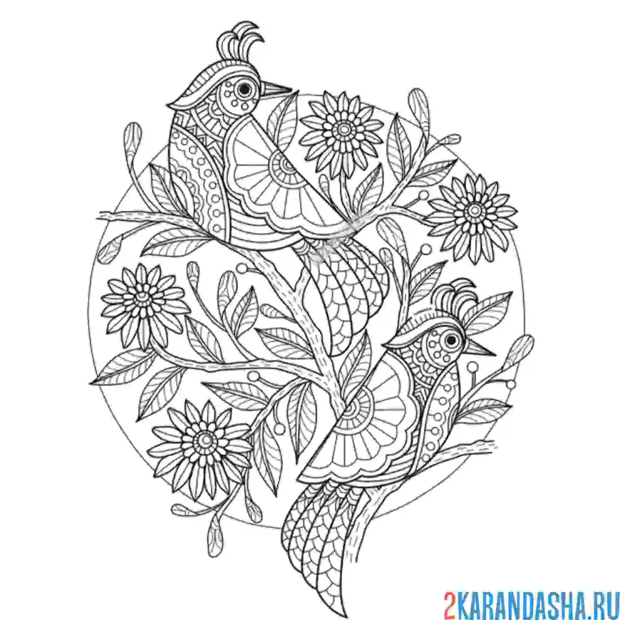 Раскраска птицы на ветке в саду