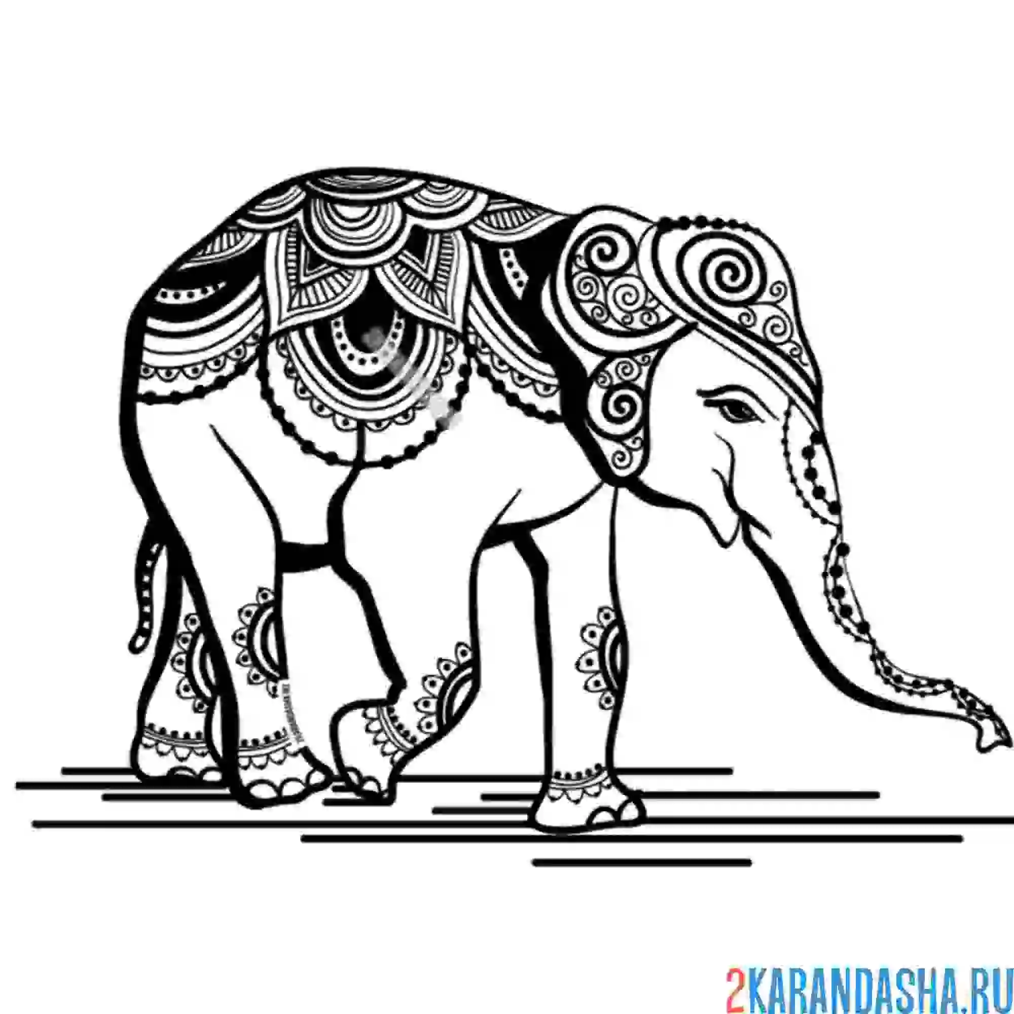 Раскраска слоник