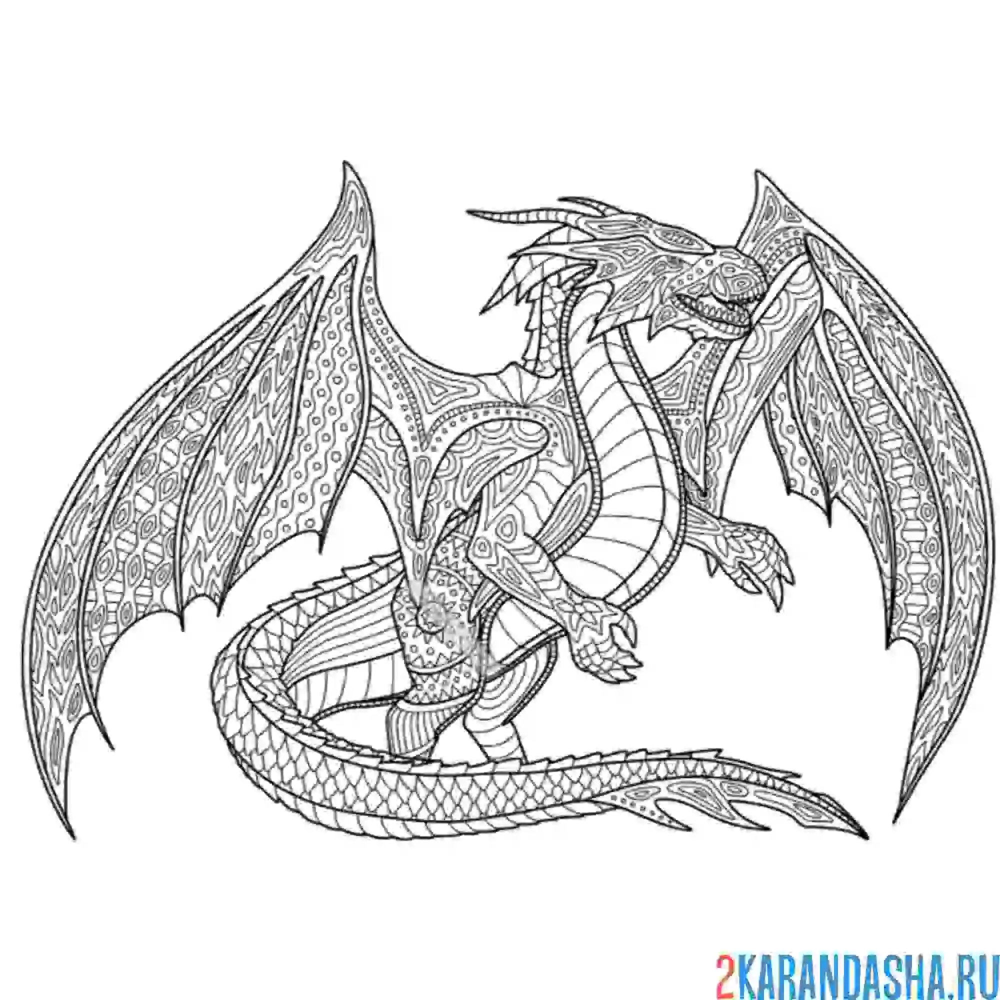 Раскраска мифический дракон