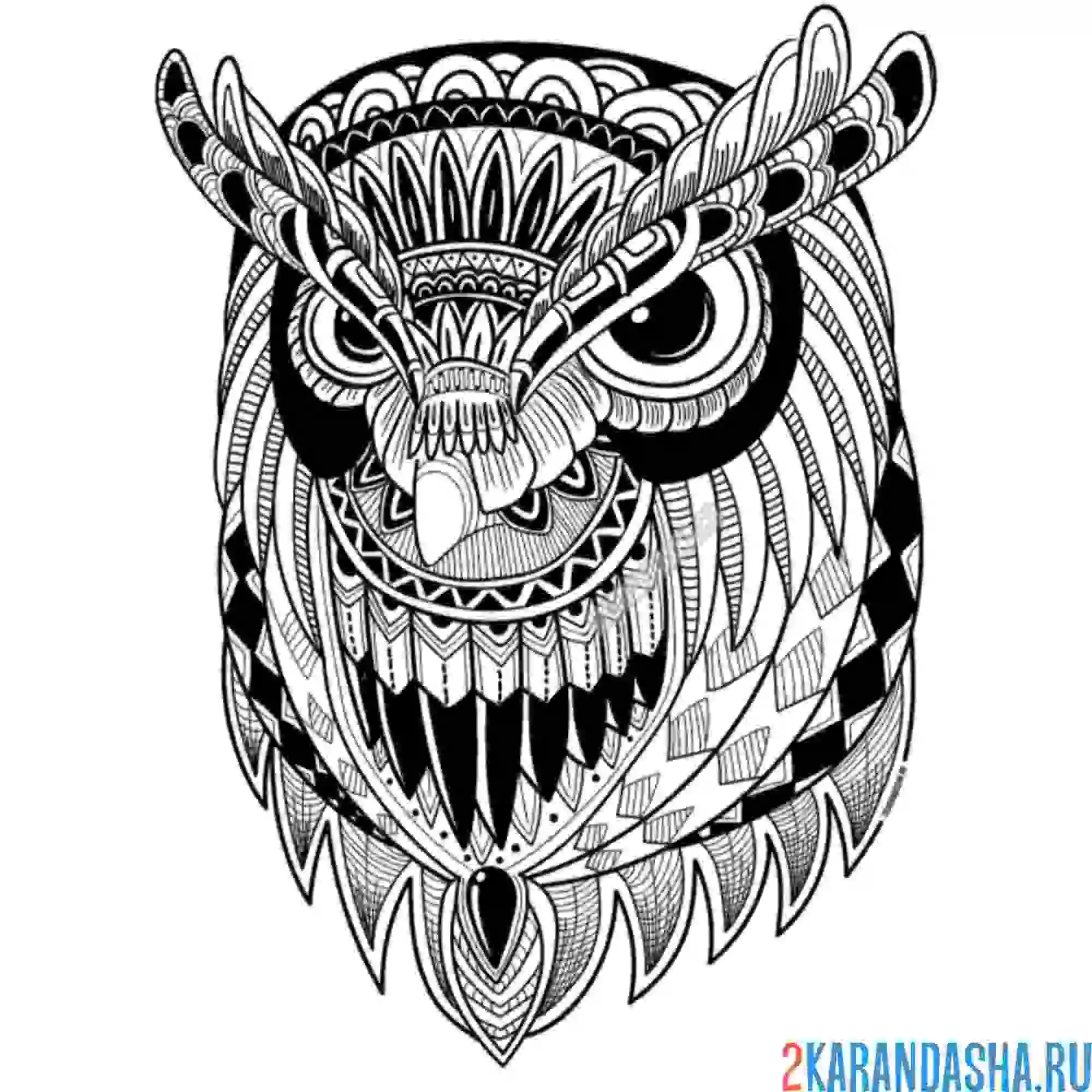 Раскраска голова красивой совы