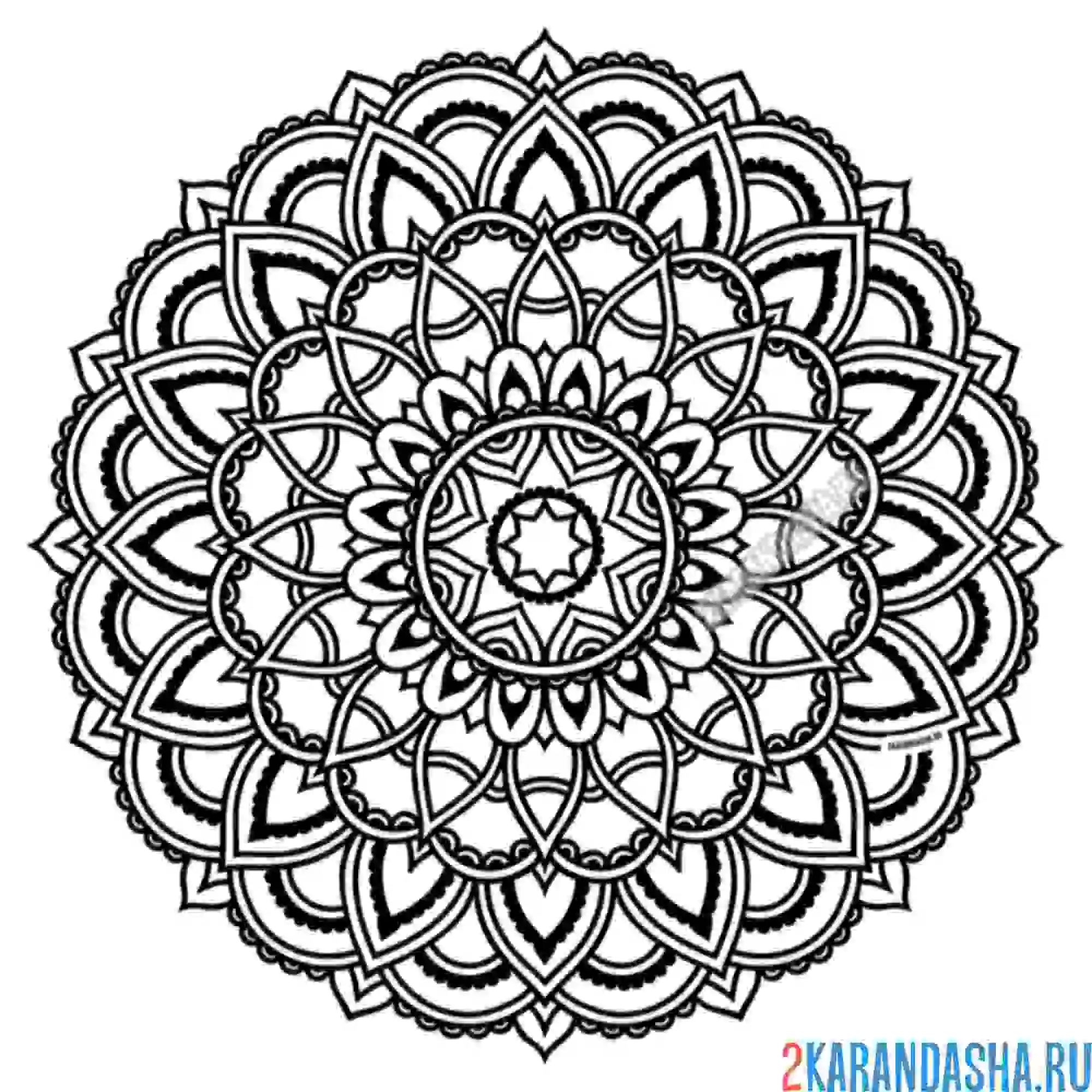 Раскраска мандала верности