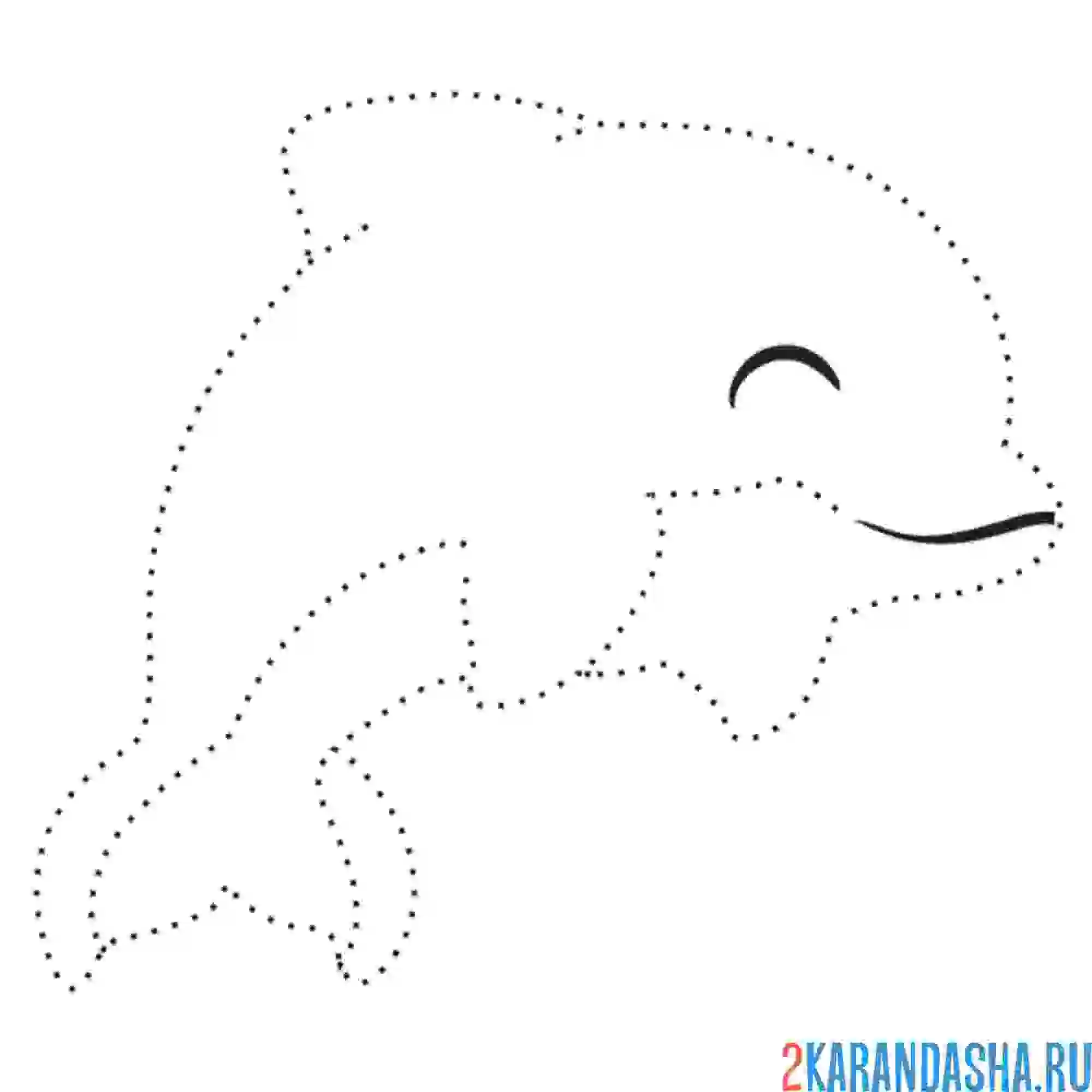 Раскраска дельфин