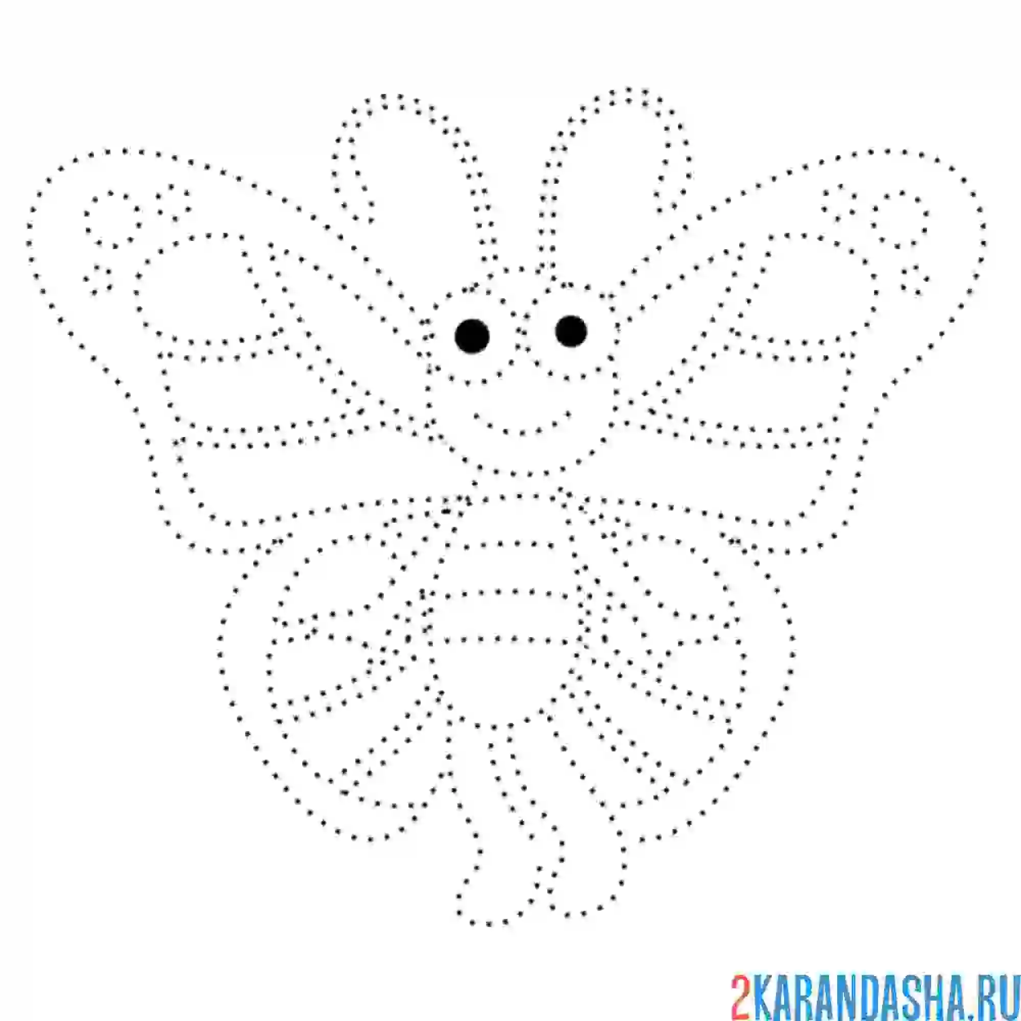 Раскраска милая бабочка