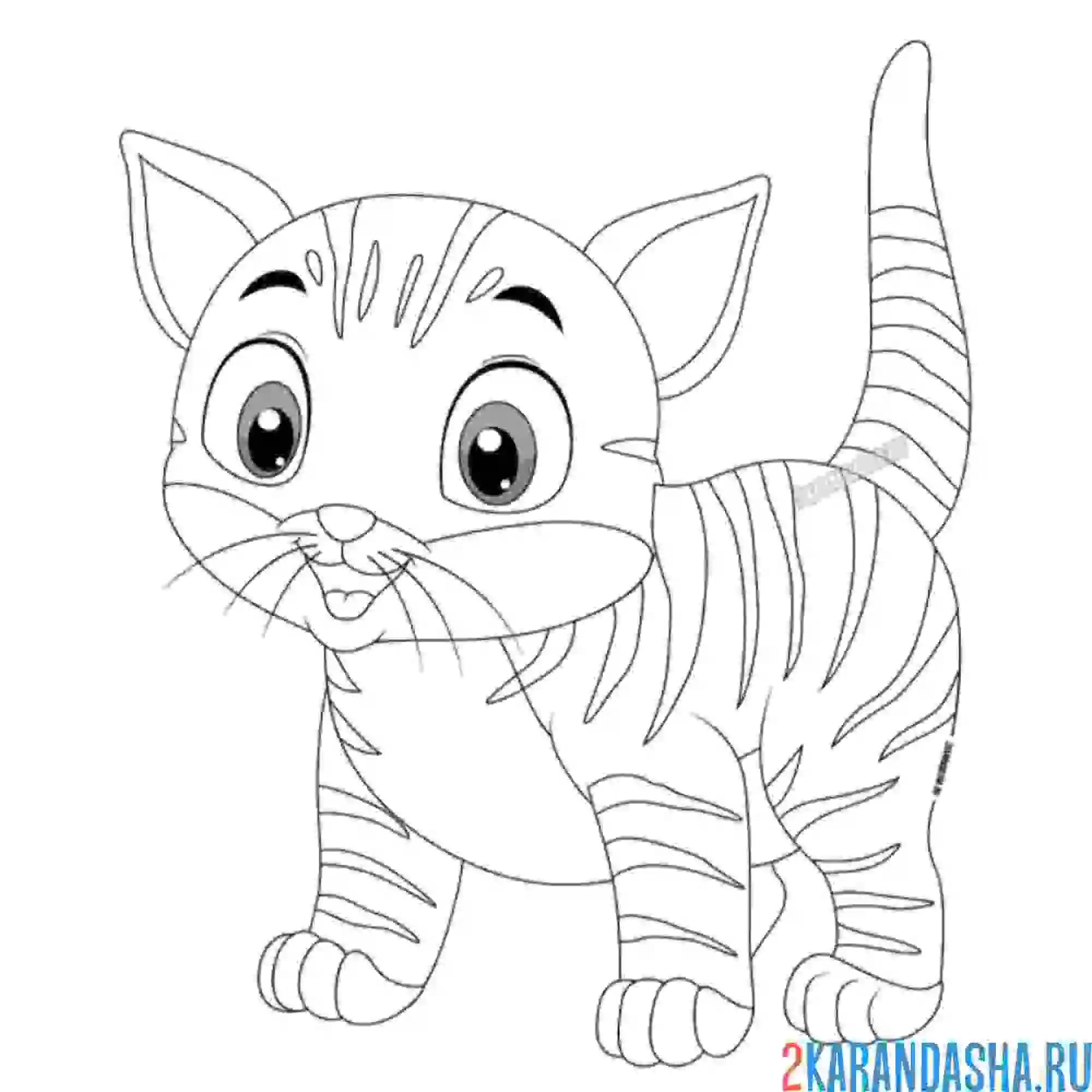 Раскраска дымок полосатый котик