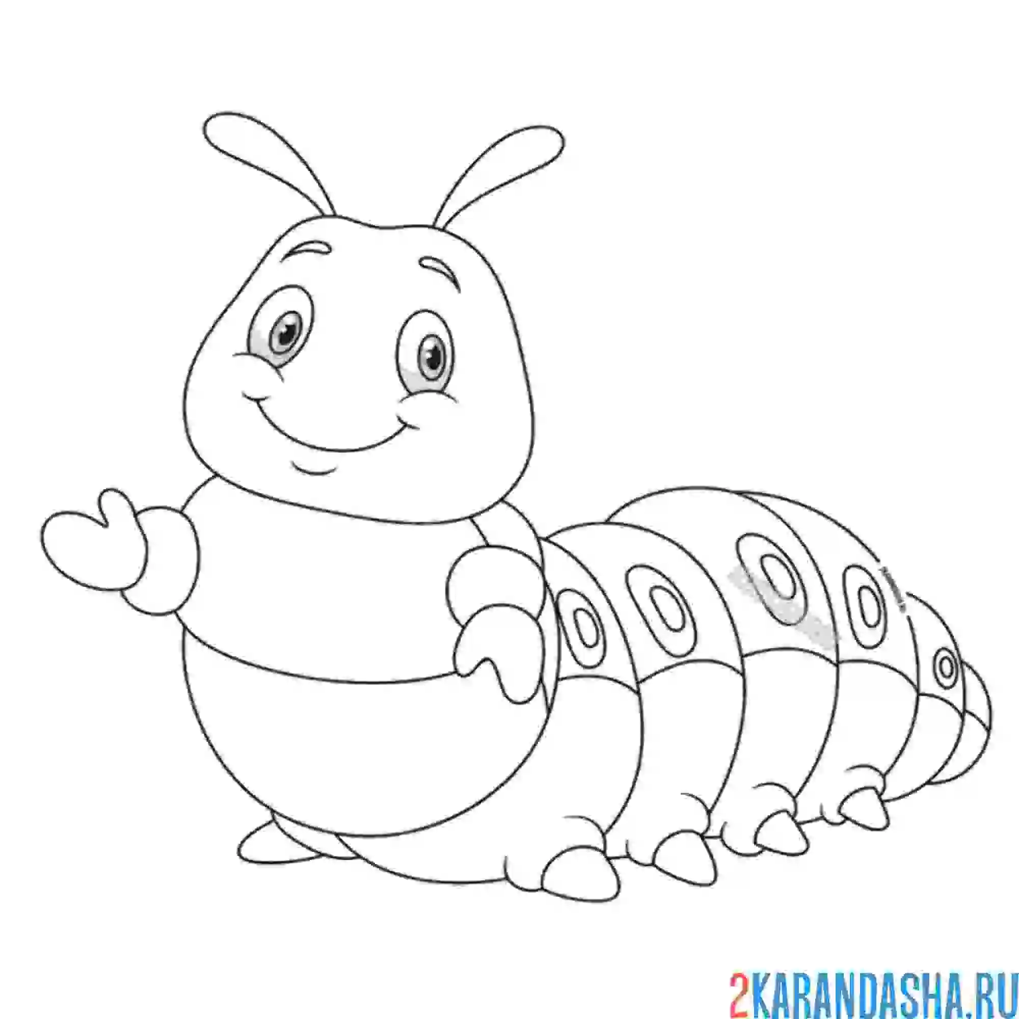 Раскраска травоядная милашка