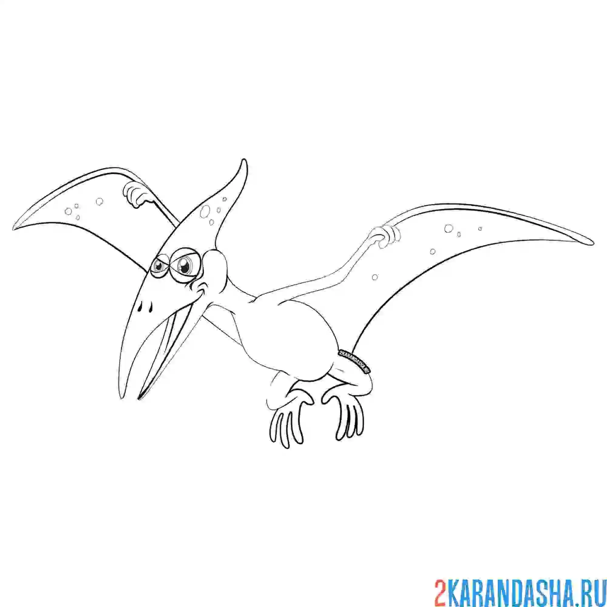 Раскраска летающий ящер (птерозавр)