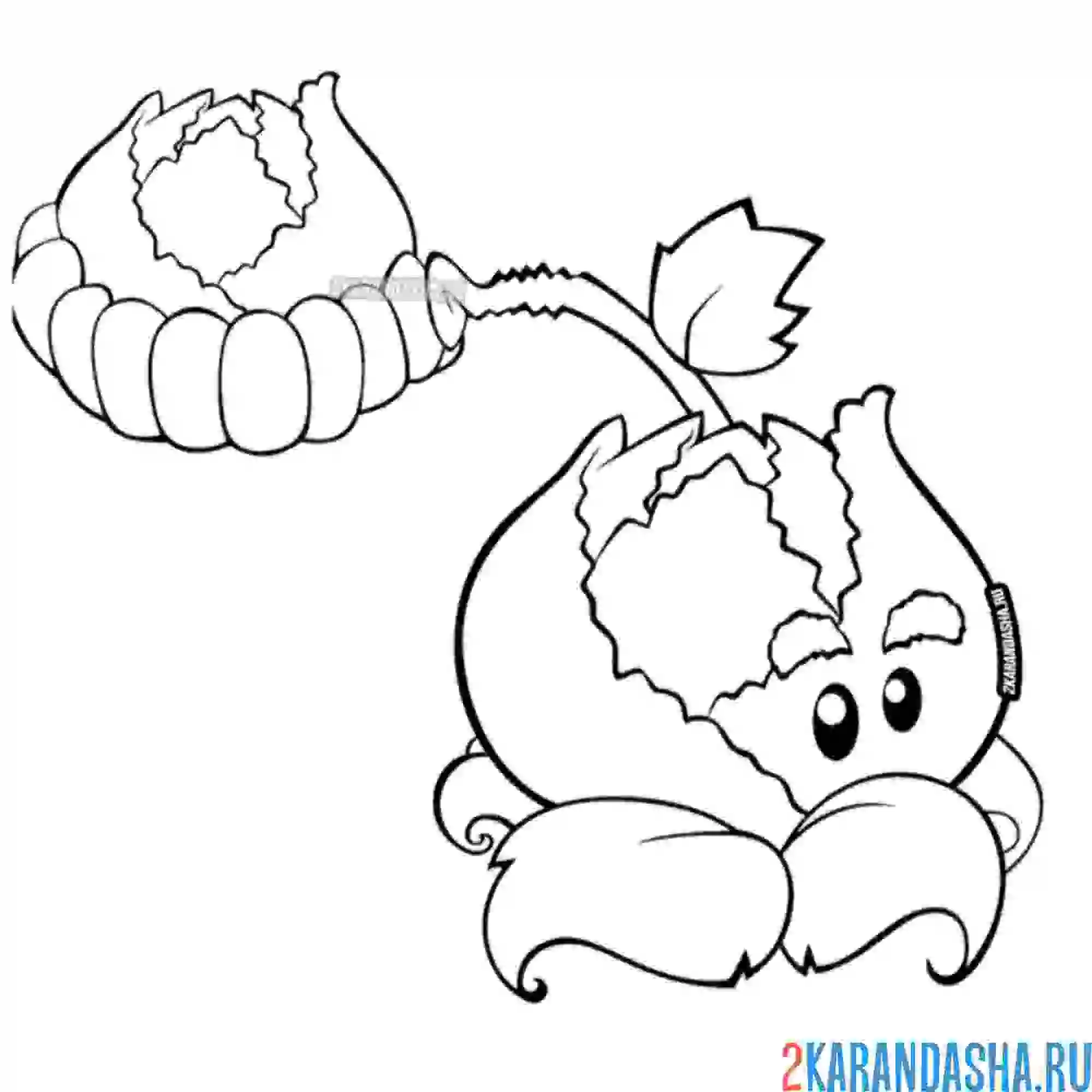 Раскраска капустопульта