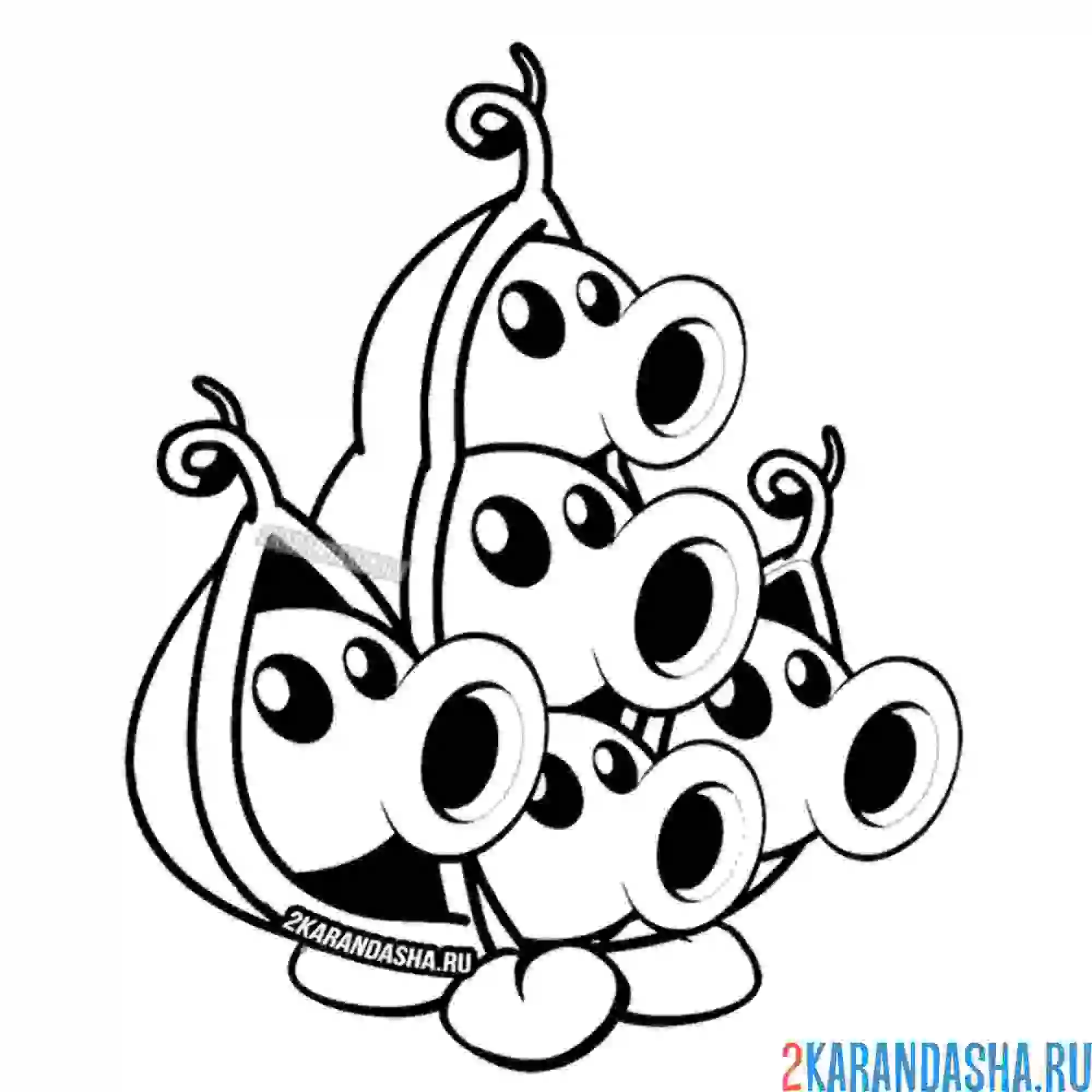 Раскраска стручок гороха