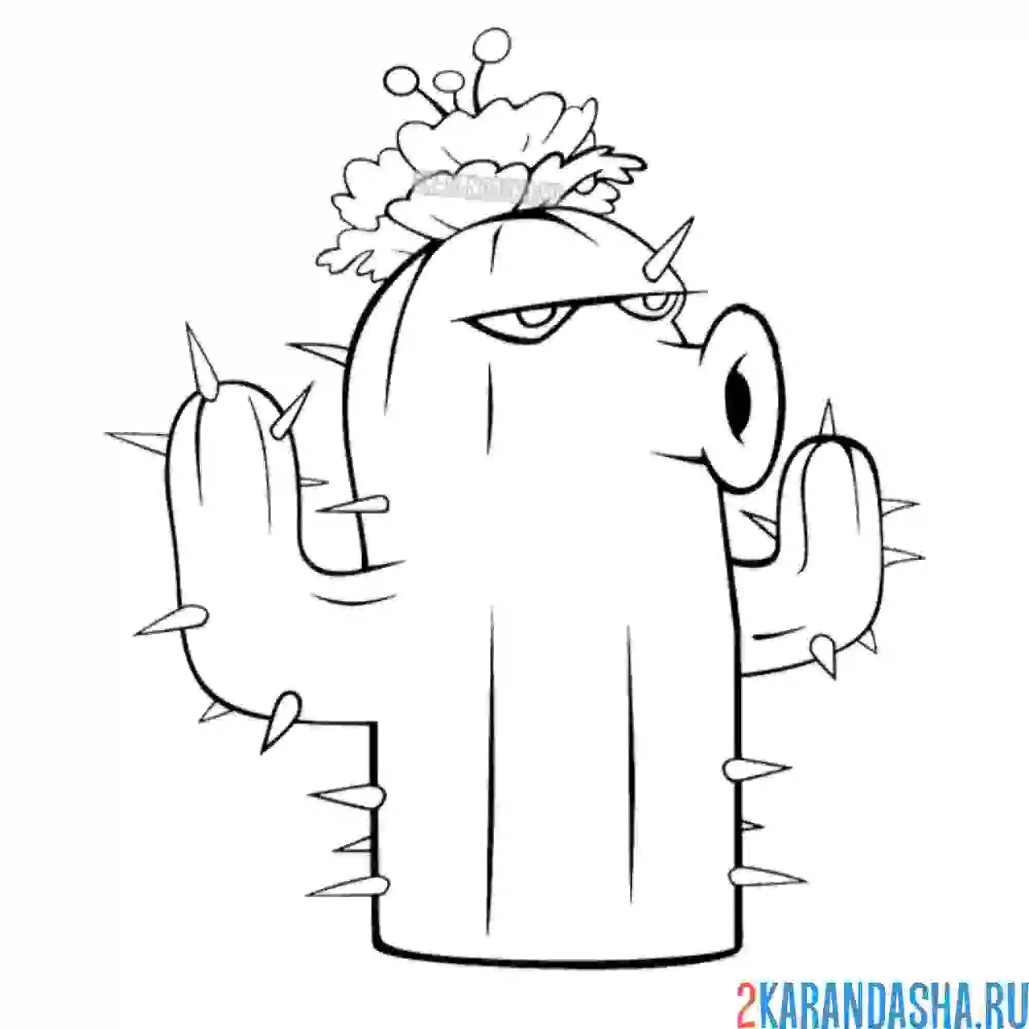 Раскраска кактус с шипами