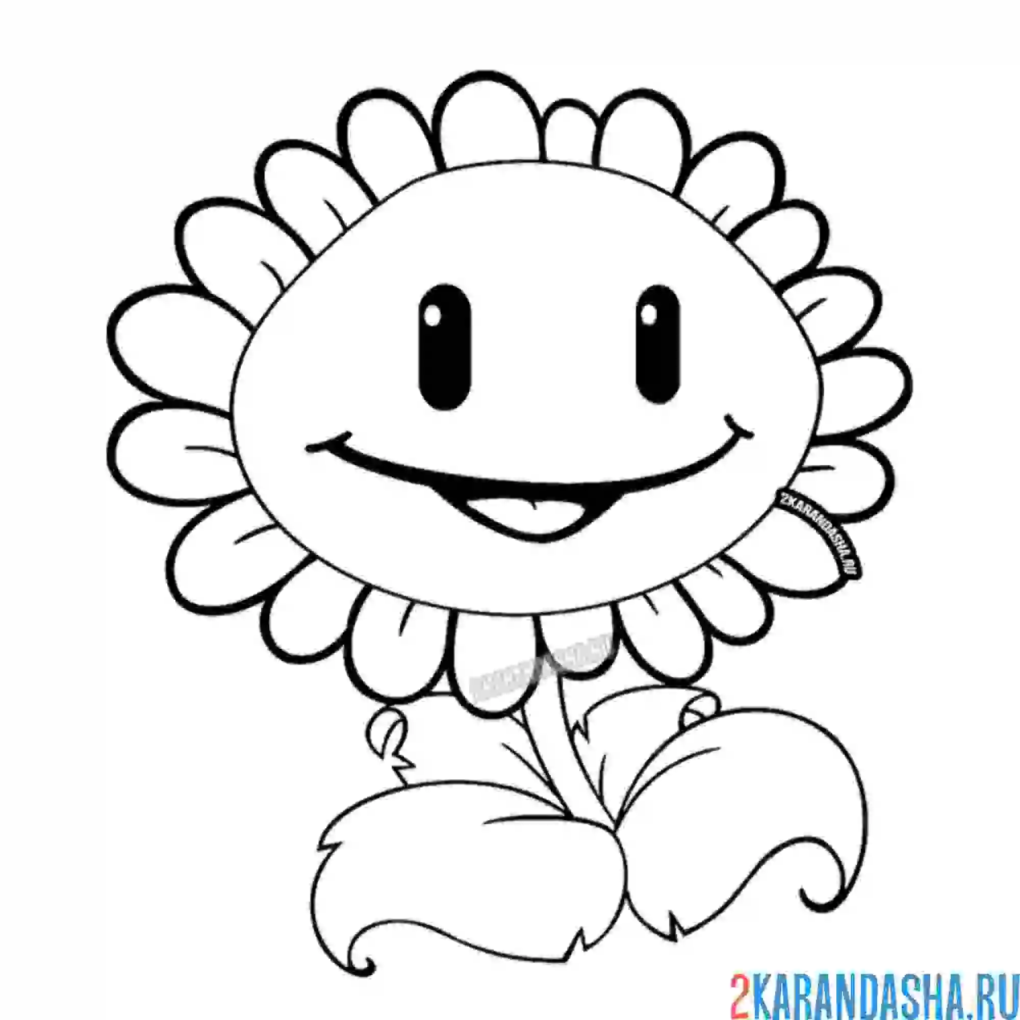 Раскраска подсолнух