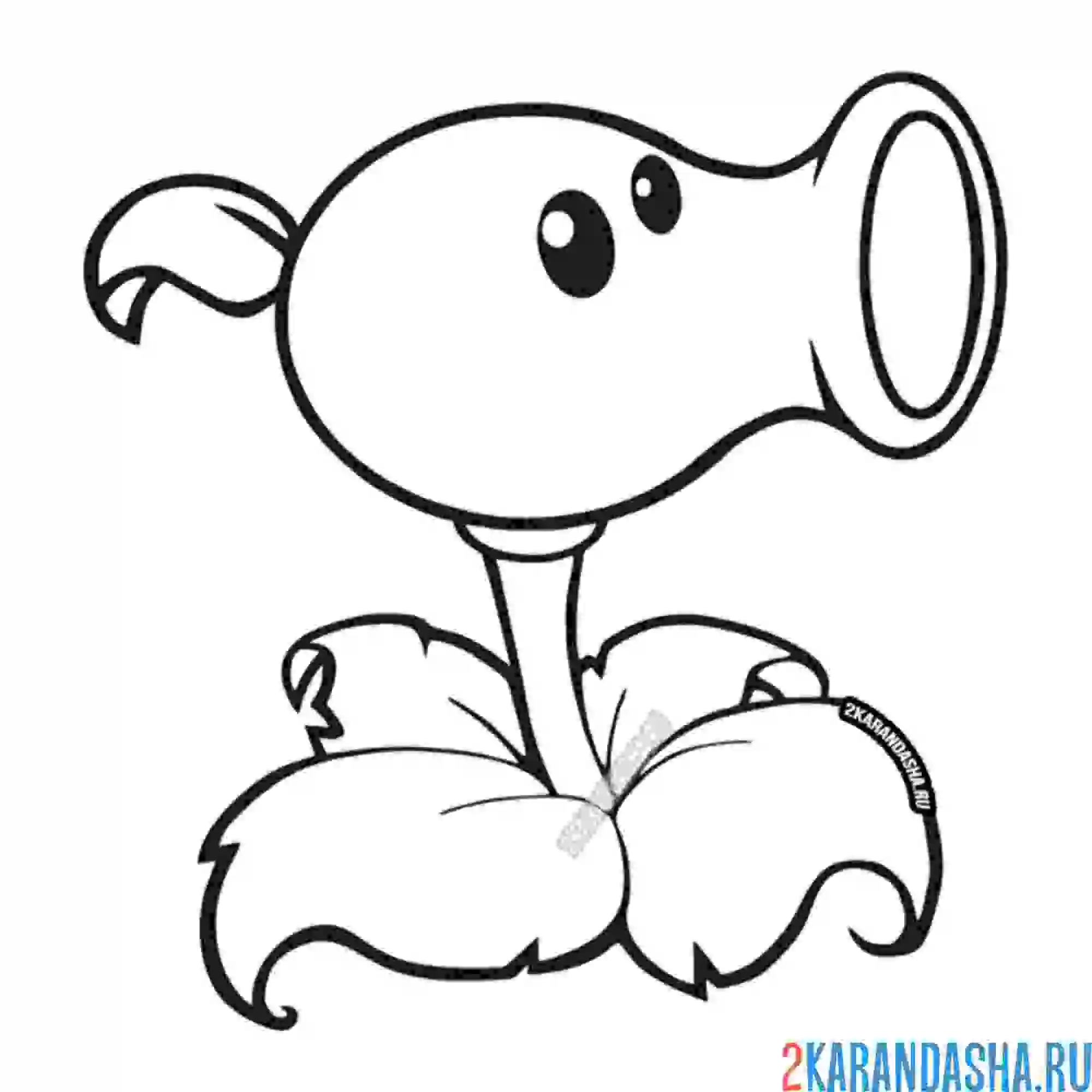 Раскраска горохострел