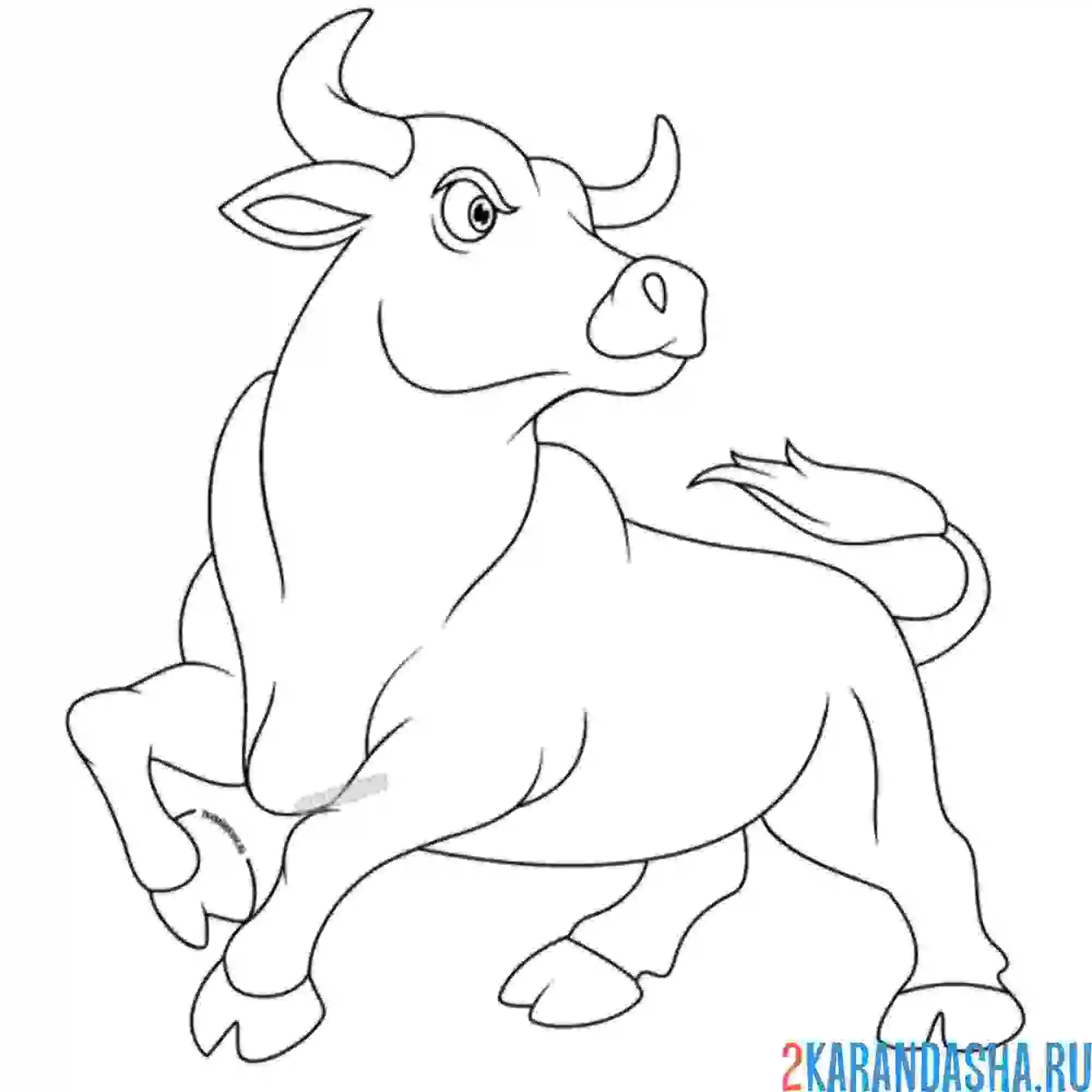 Раскраска красивый сильный бык