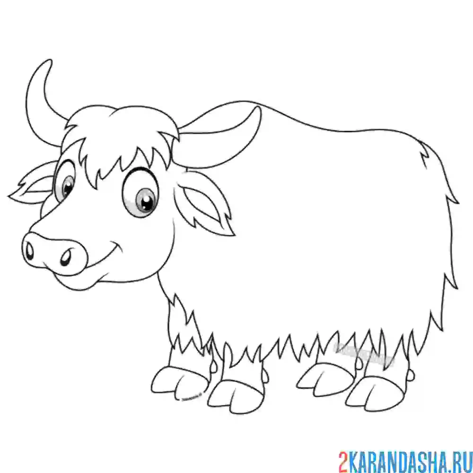 Раскраска маленький як бычок