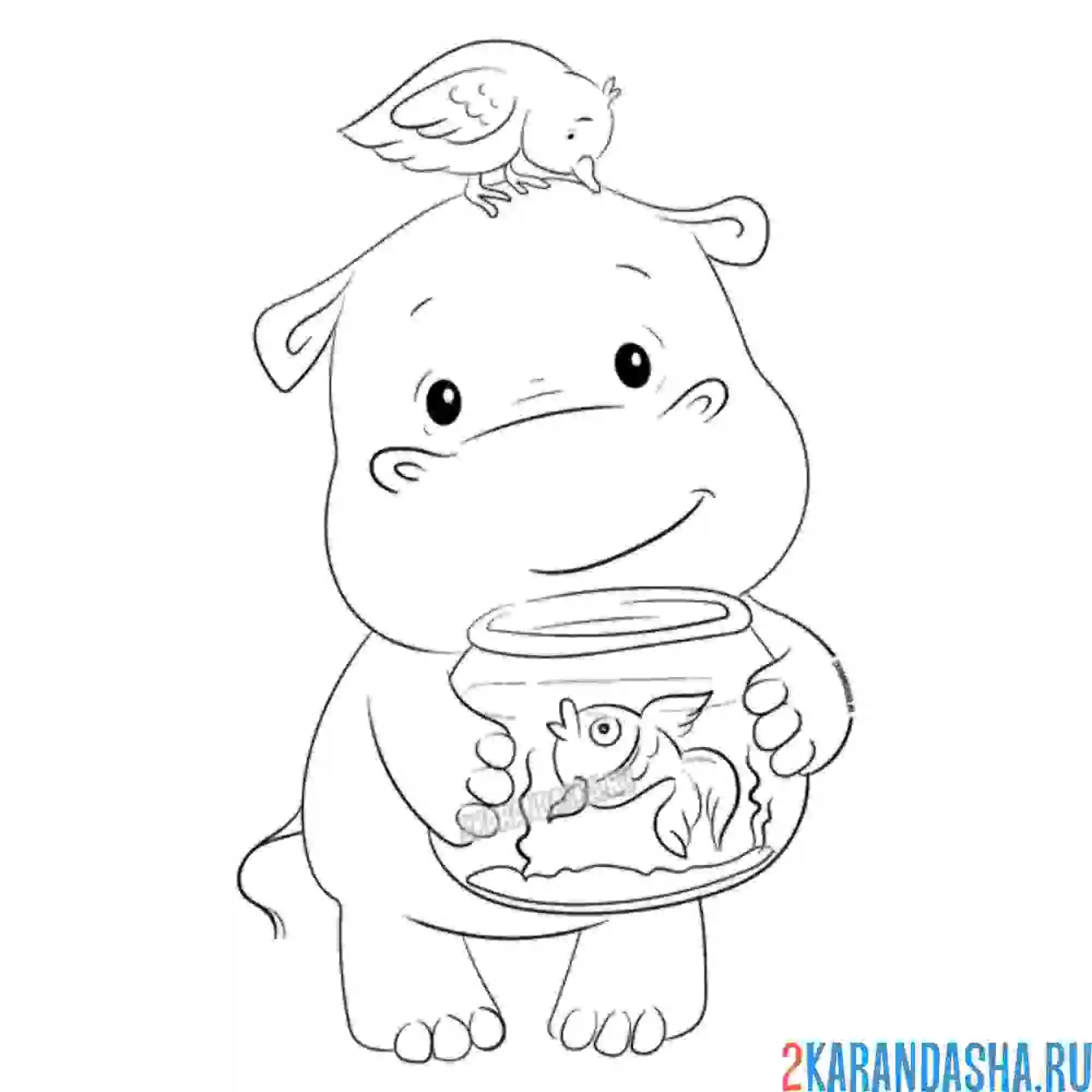 Раскраска милый гиппопотам с рыбкой и птичкой