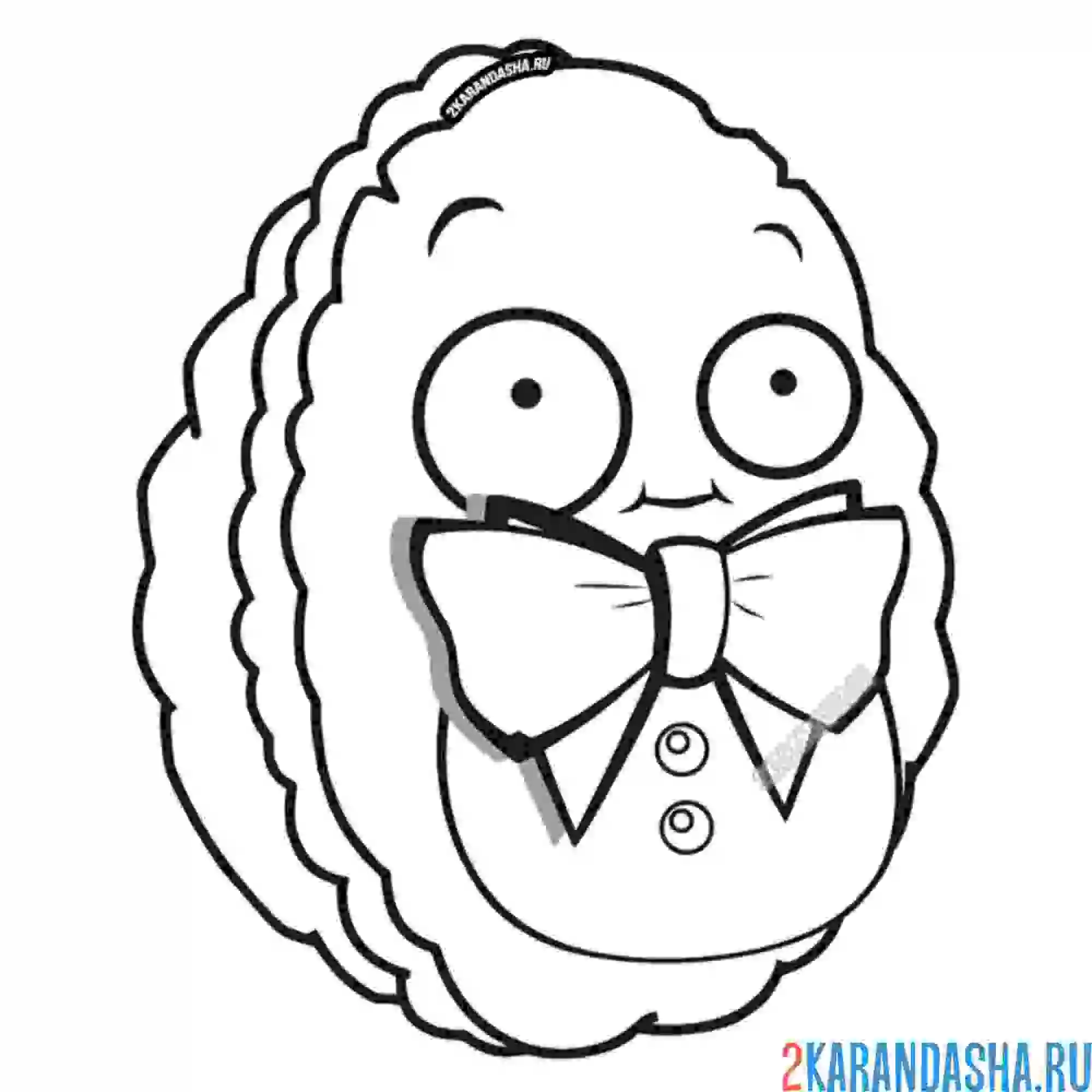 Раскраска стенорех